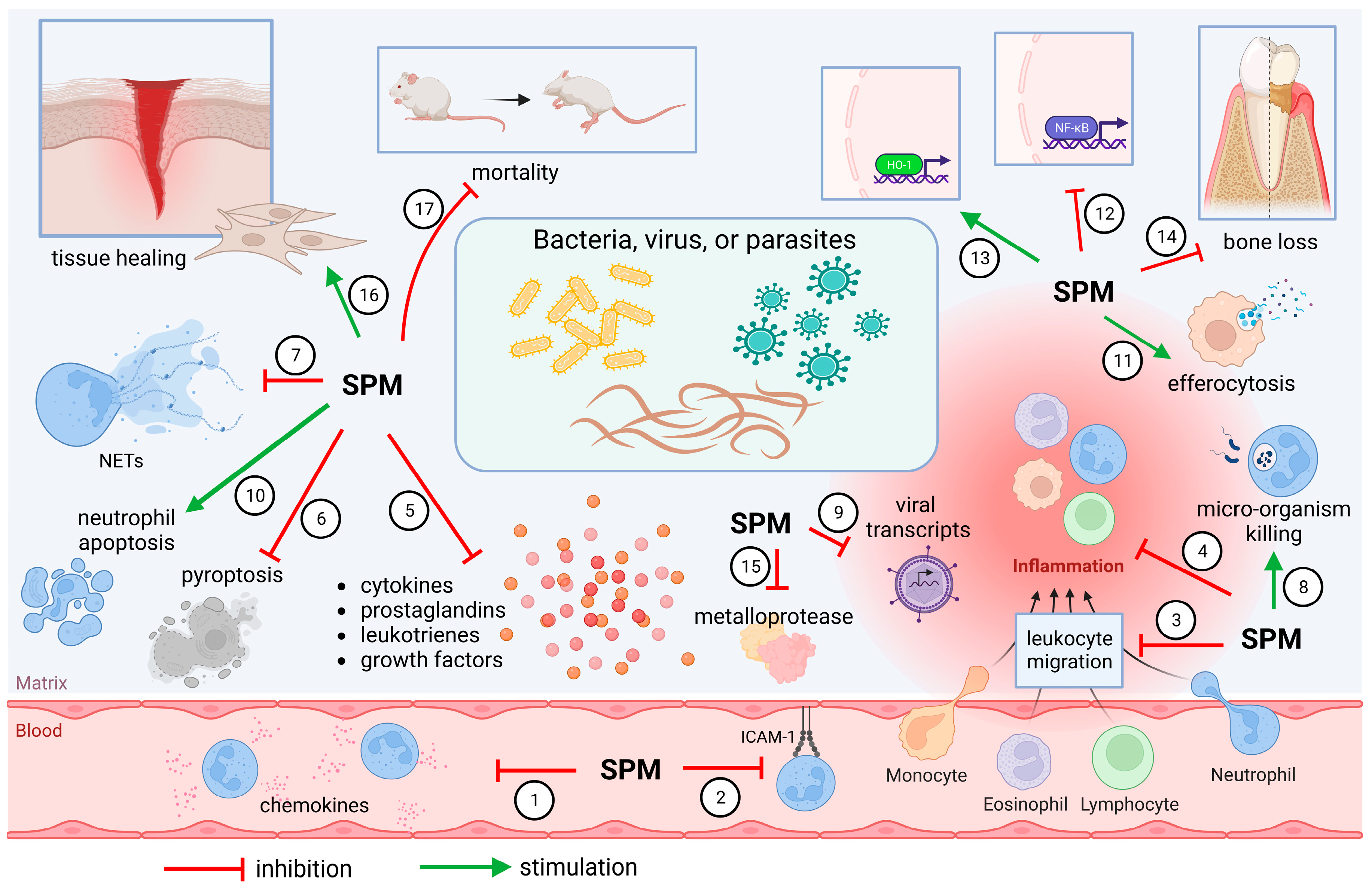 Molecules 28 05032 g002 Molecules 28 05032 g002