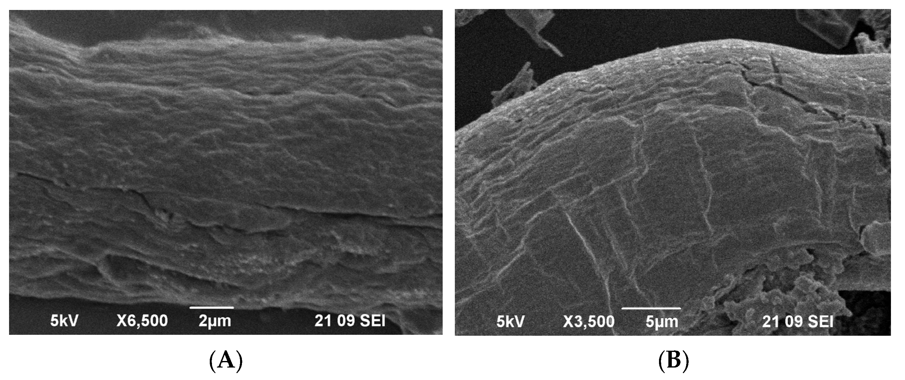 Molecules 28 05034 g005