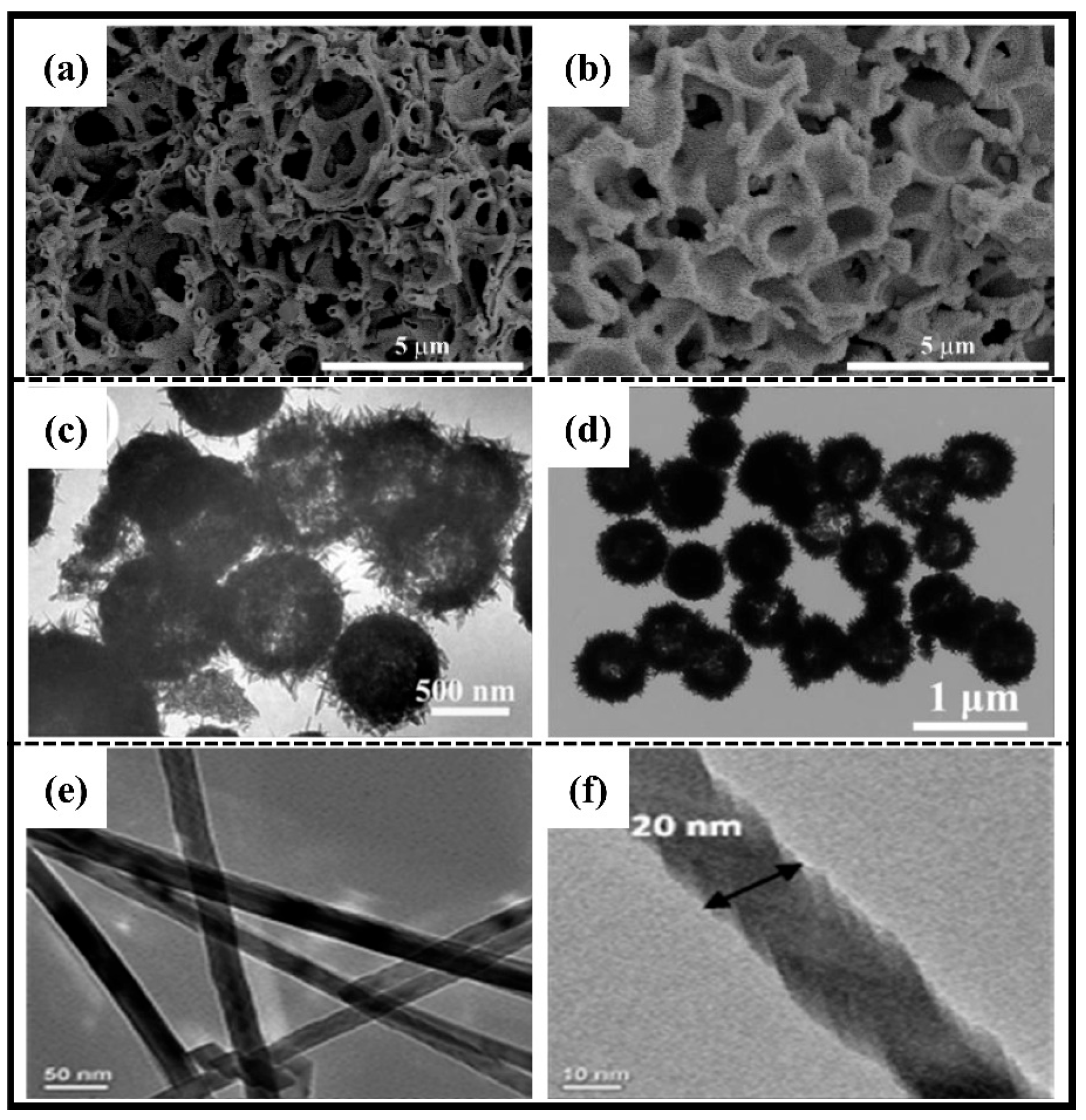 Molecules 28 05037 g005