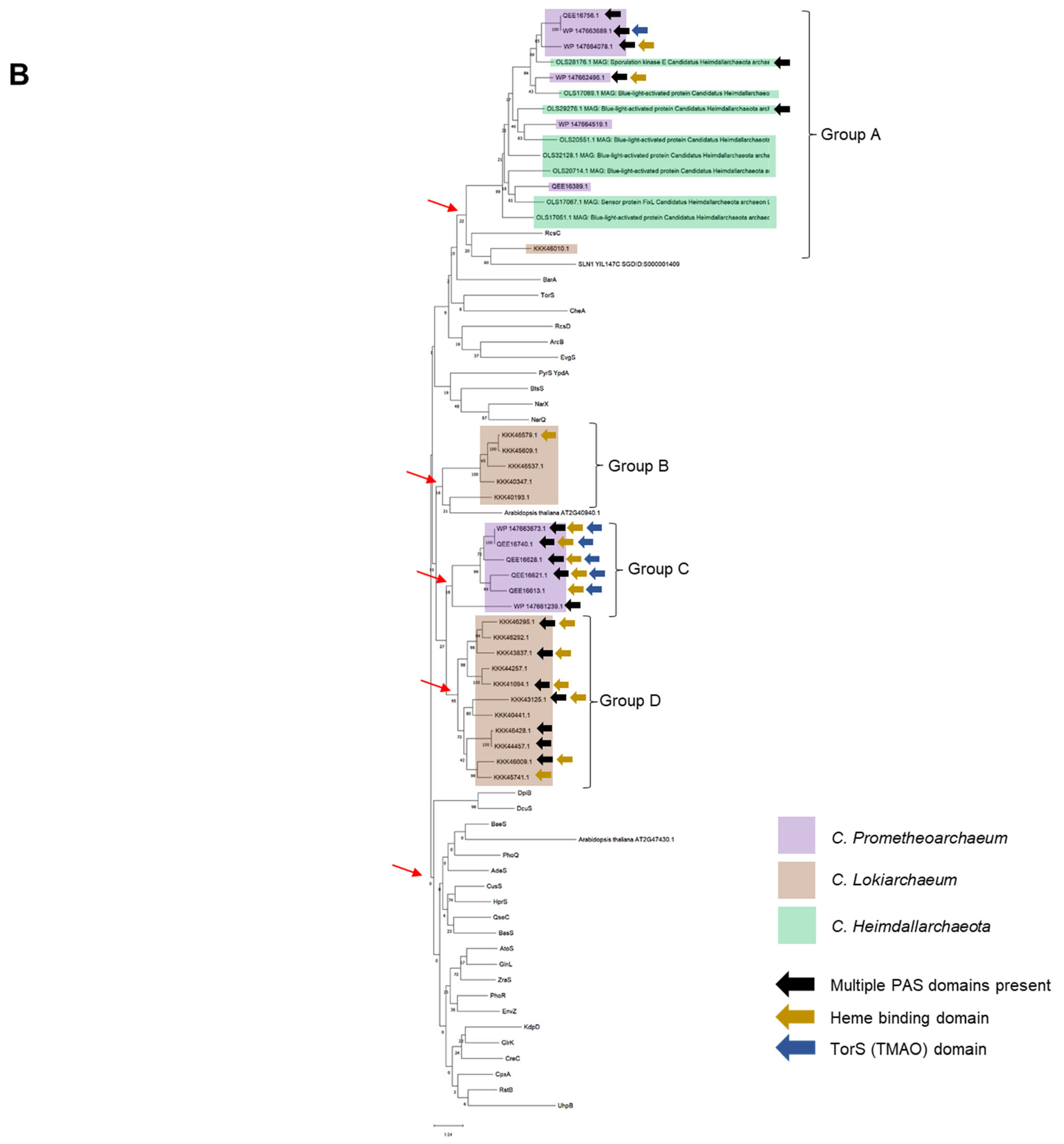 Molecules 28 05042 g001b Molecules 28 05042 g001b