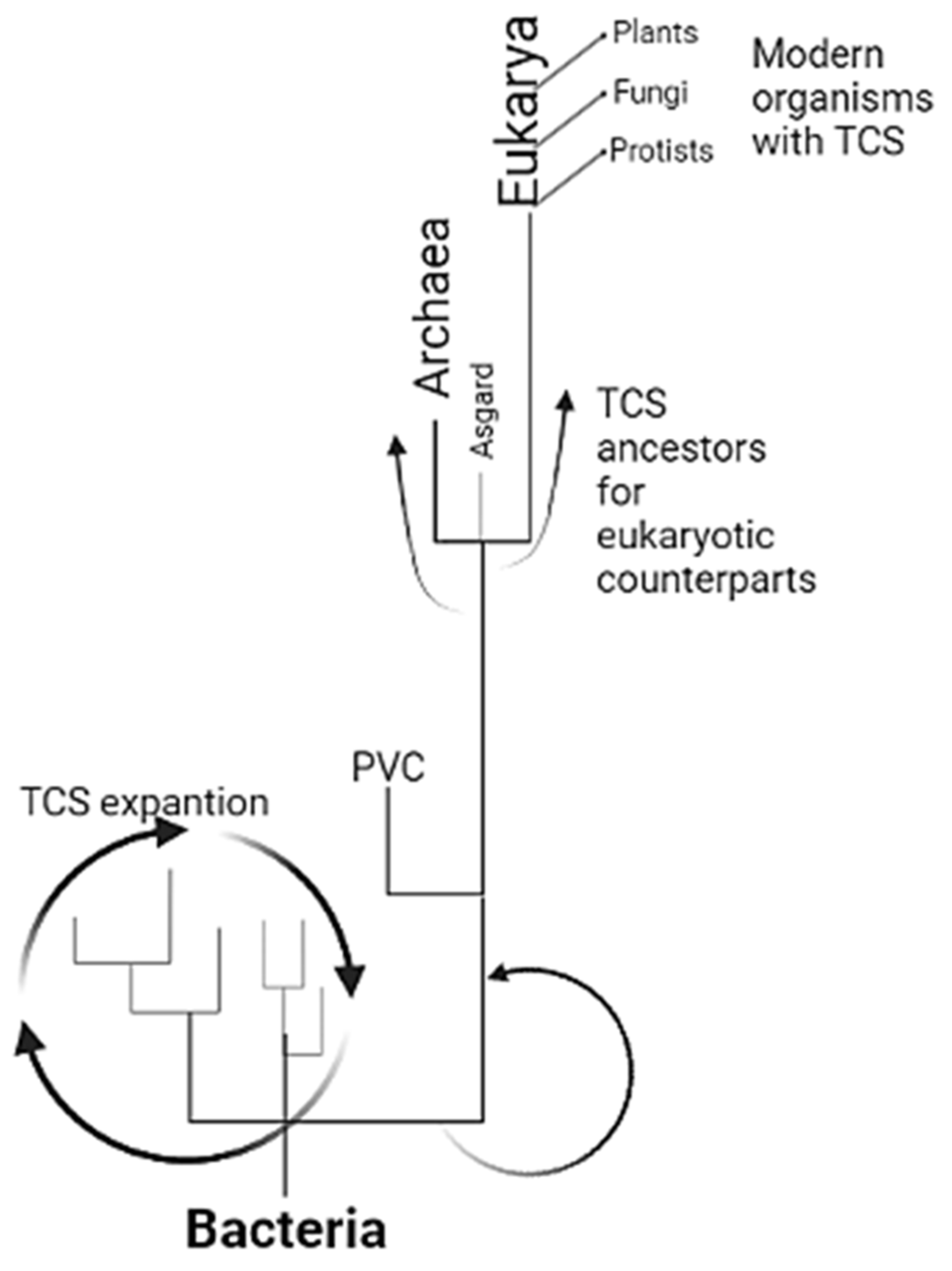 Molecules 28 05042 g004 Molecules 28 05042 g004