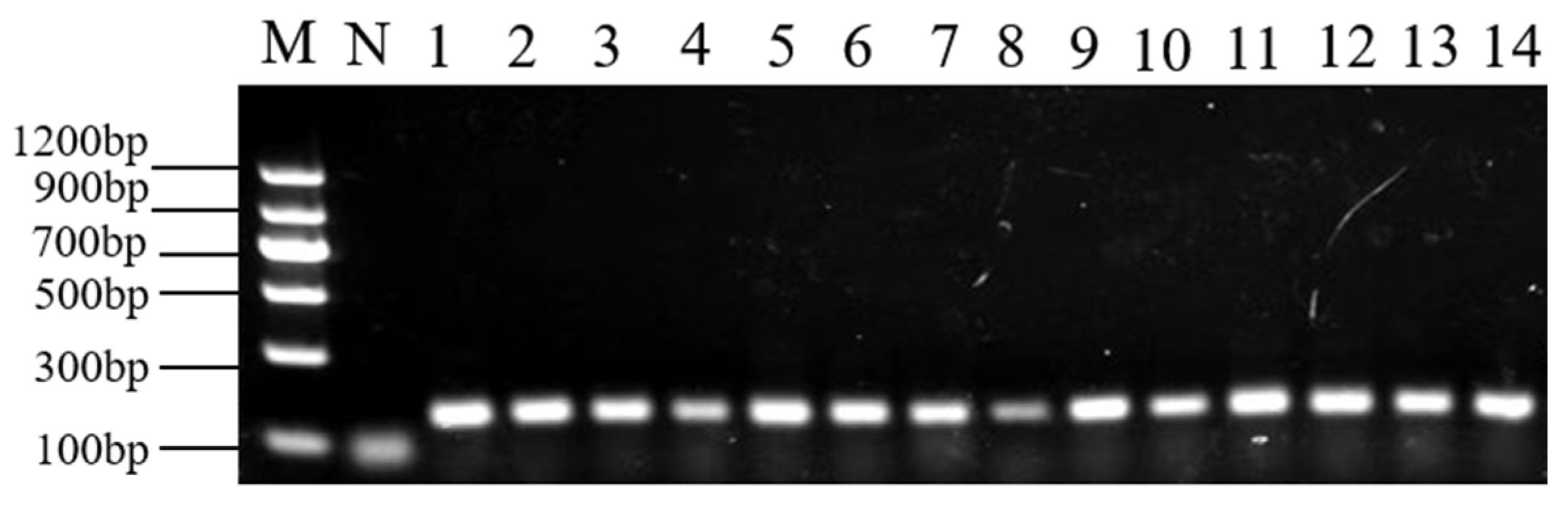 Molecules 28 05046 g002