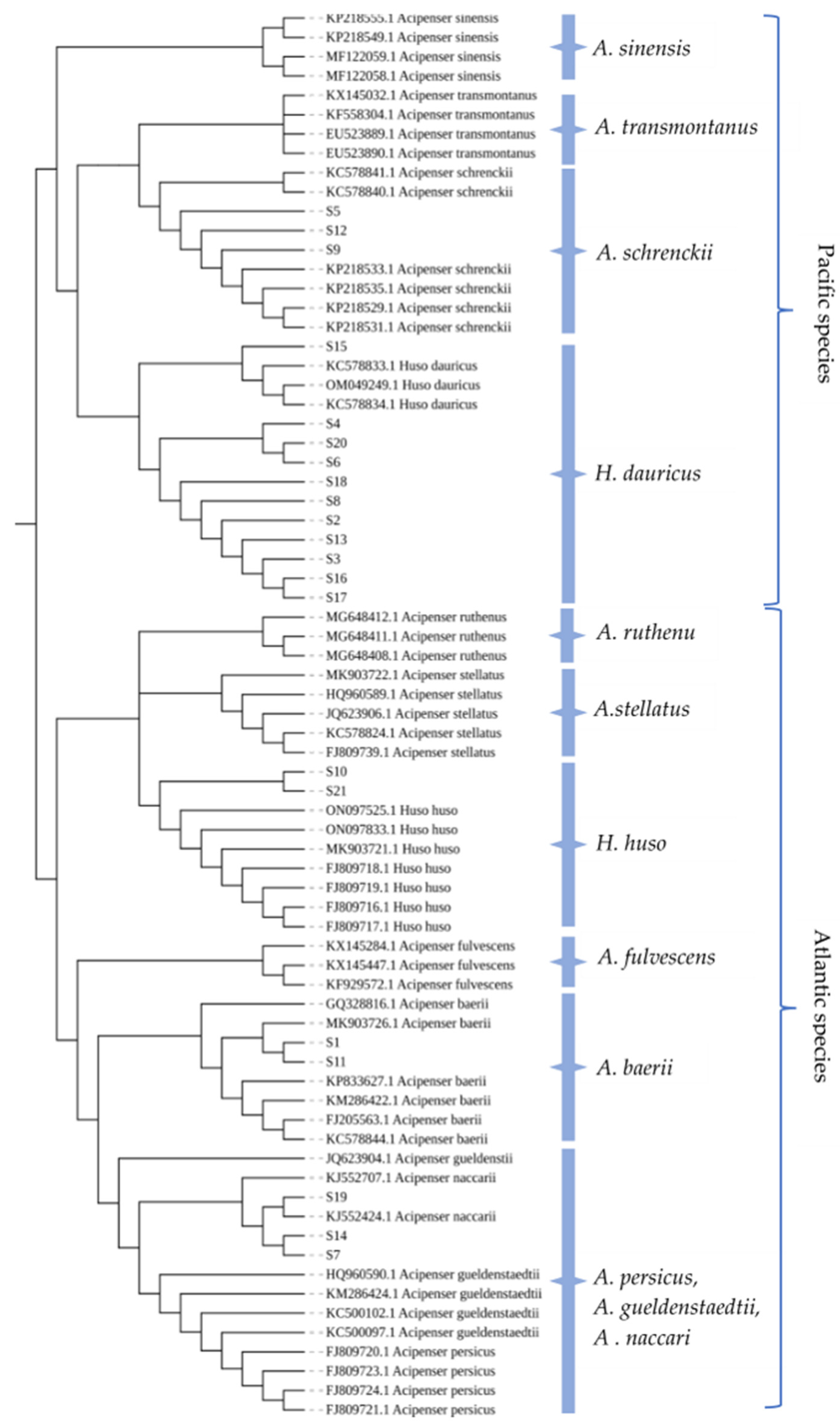 Molecules 28 05046 g006