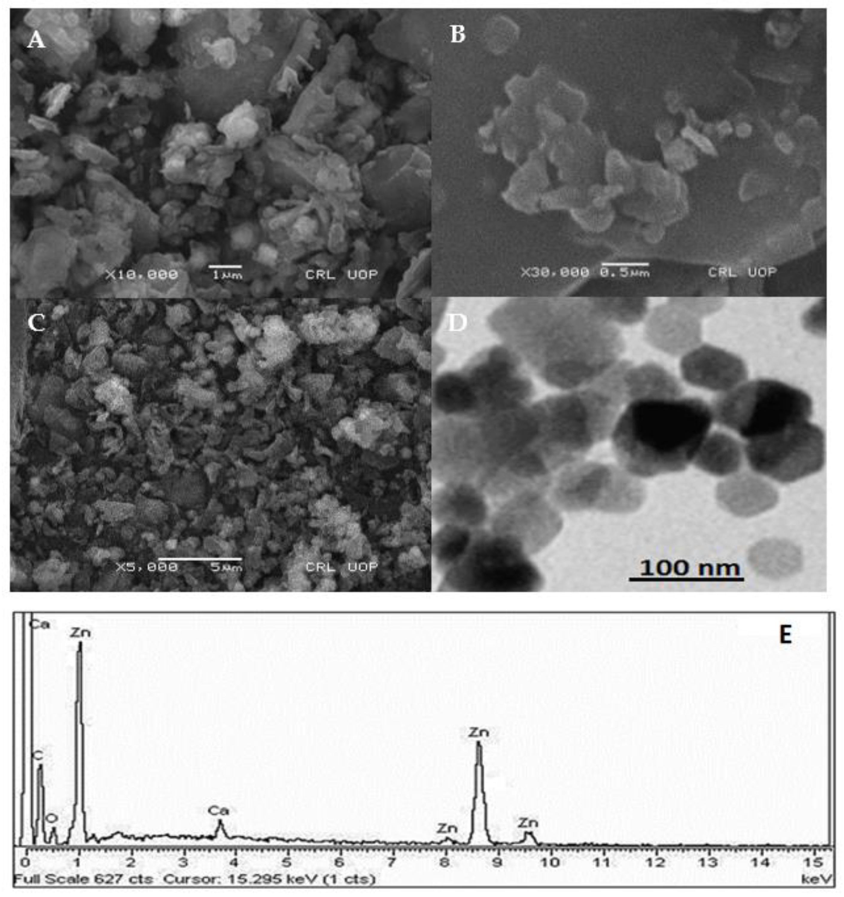 Molecules 28 05059 g001 Molecules 28 05059 g001