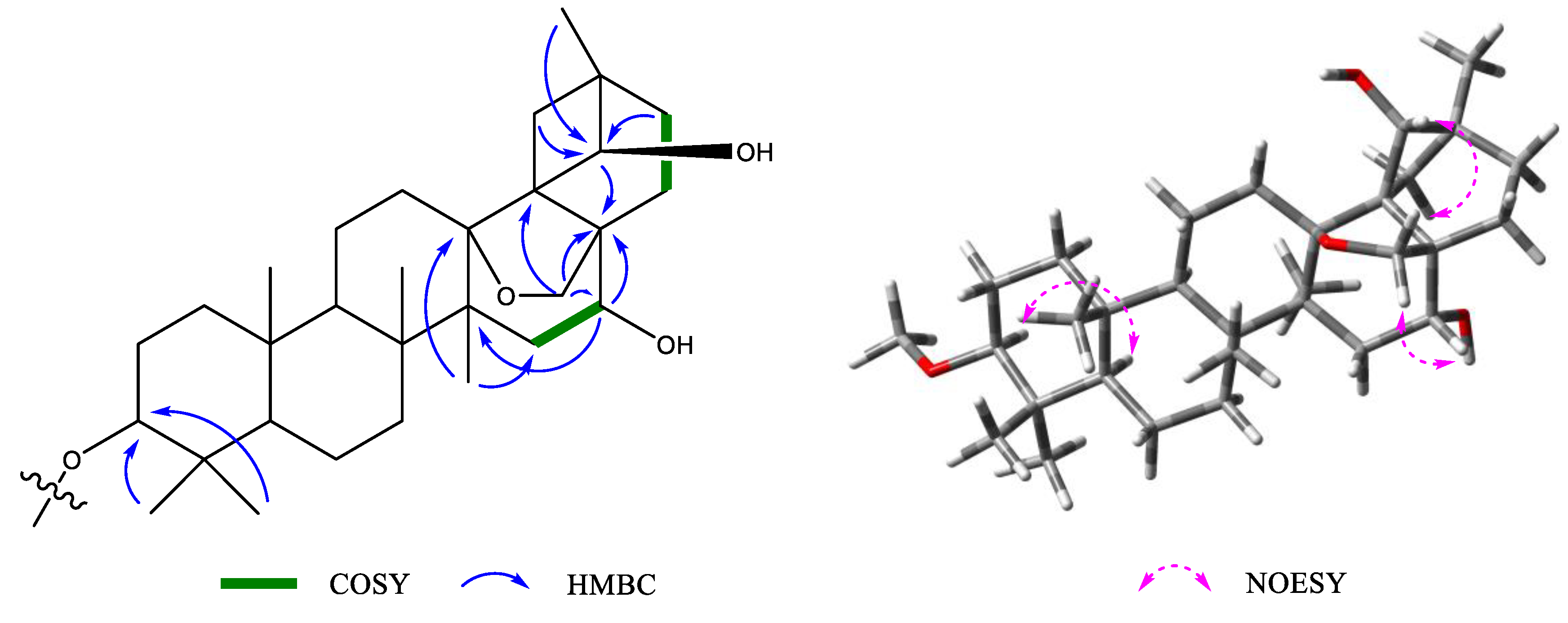 Molecules 28 05061 g002 Molecules 28 05061 g002
