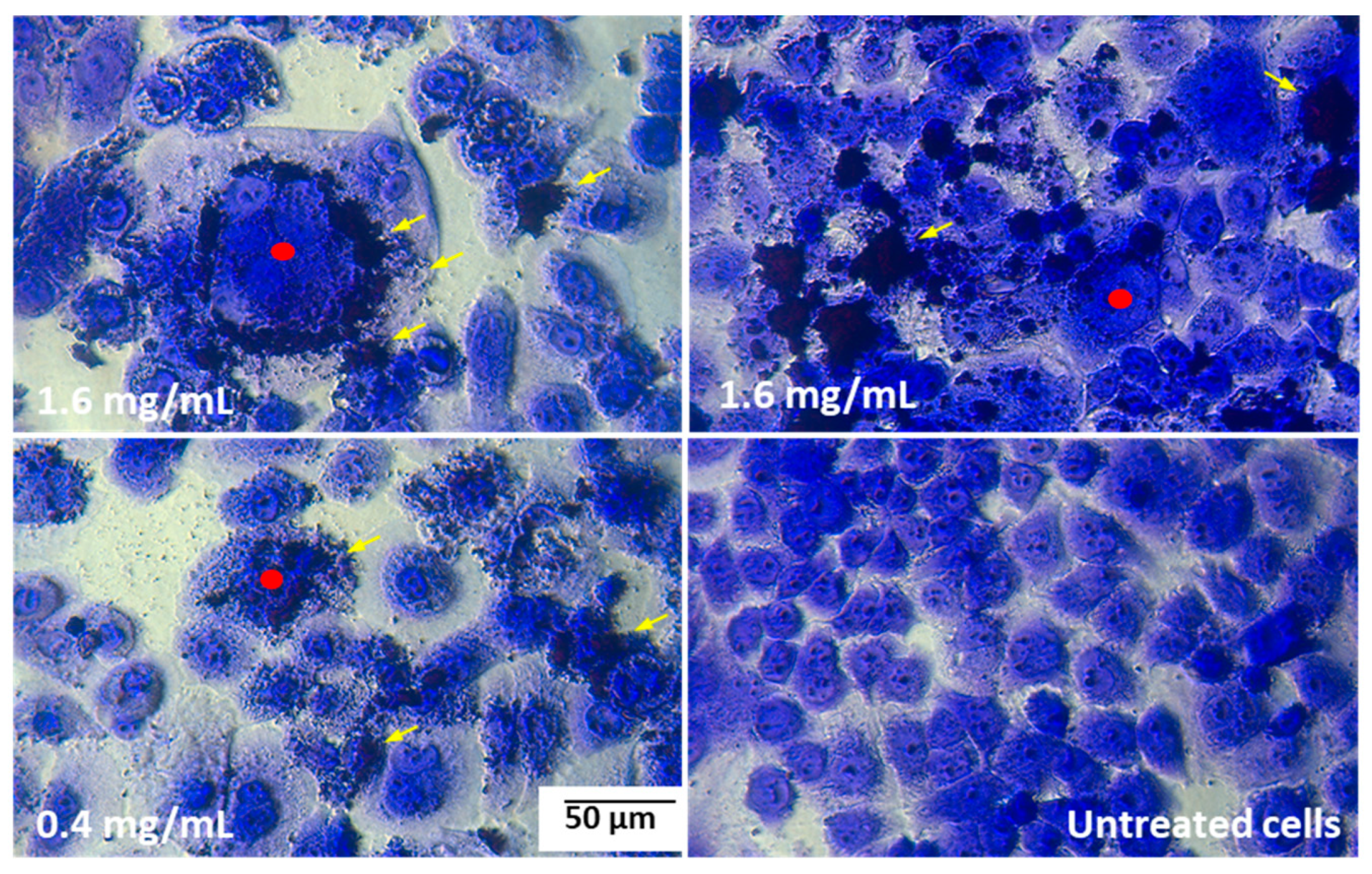 Molecules 28 05064 g008 Molecules 28 05064 g008