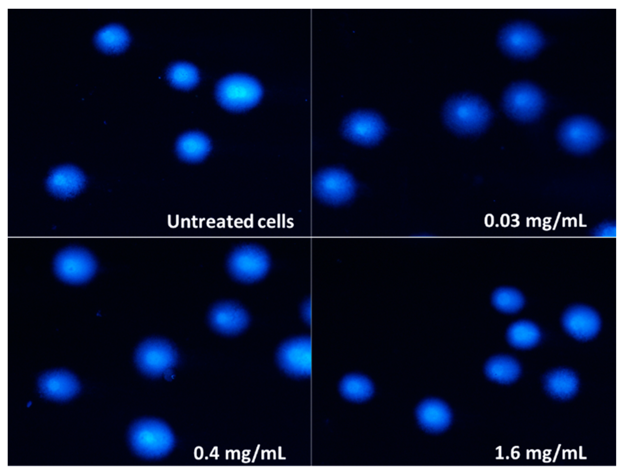 Molecules 28 05064 g009 Molecules 28 05064 g009