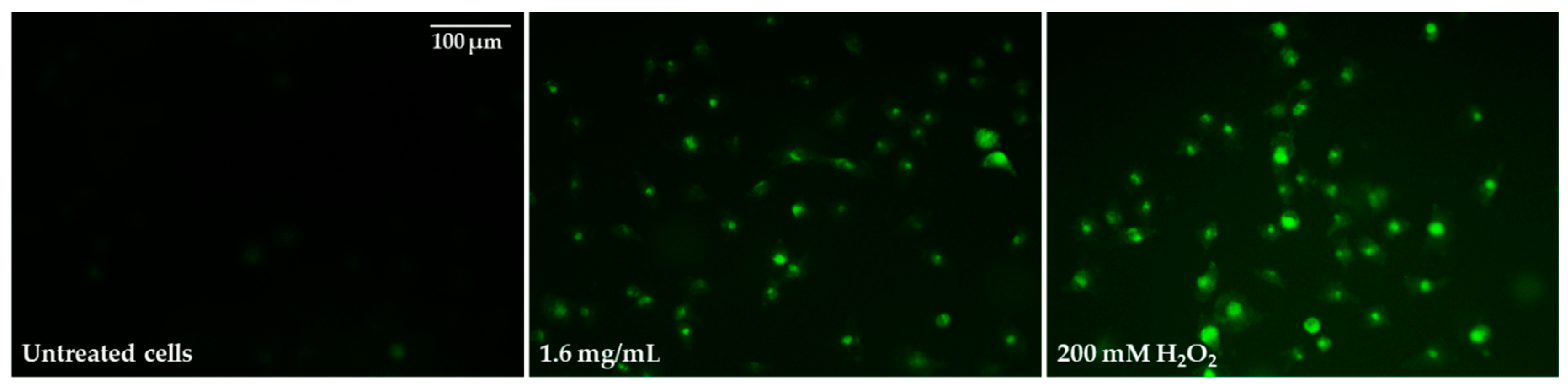 Molecules 28 05064 g010 Molecules 28 05064 g010