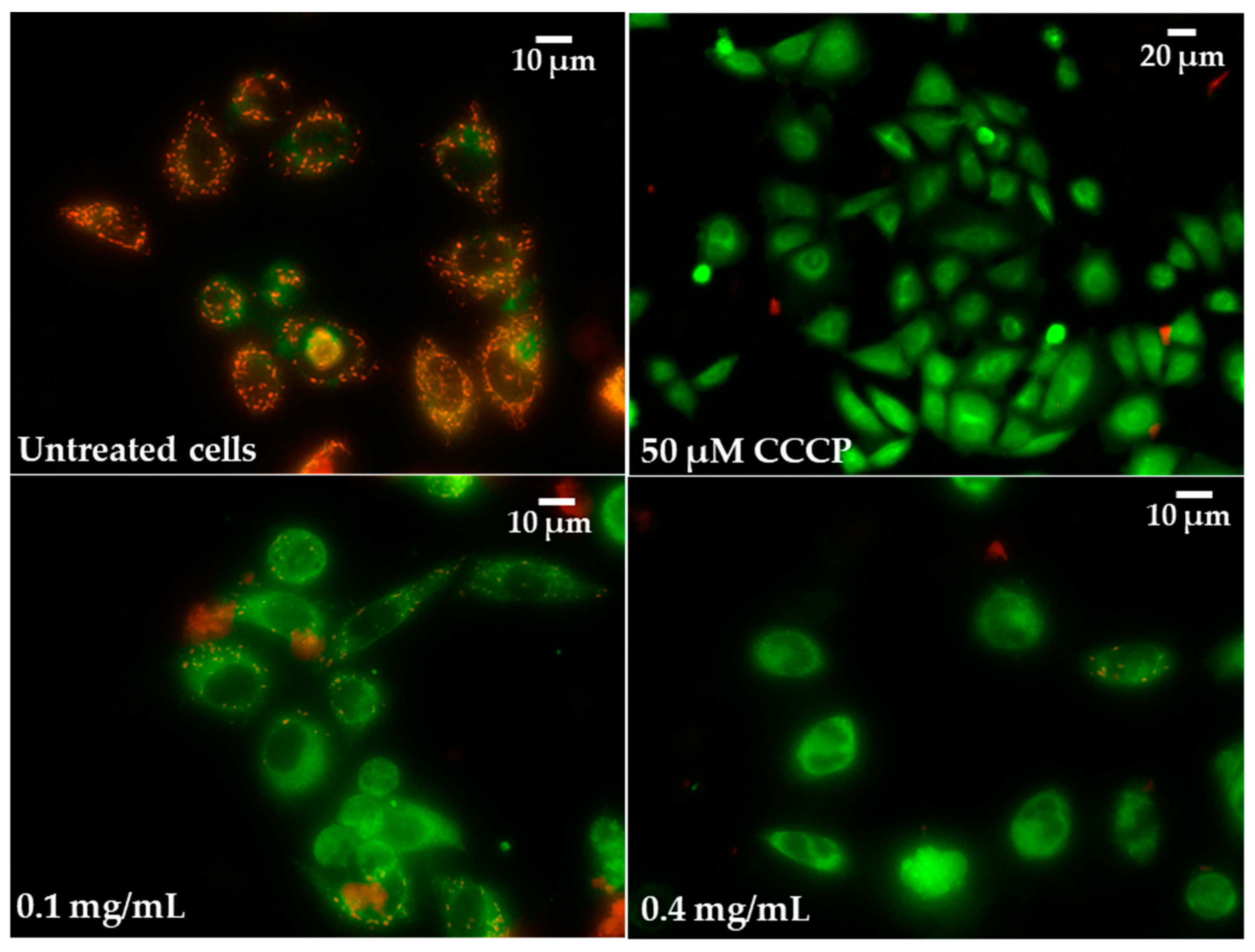 Molecules 28 05064 g011 Molecules 28 05064 g011