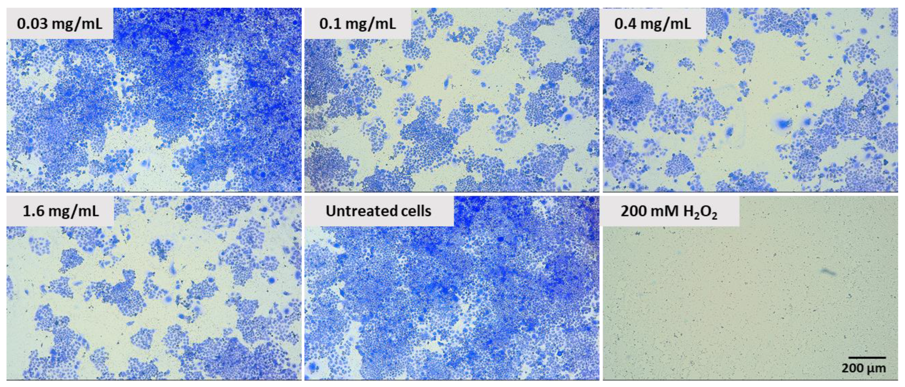 Molecules 28 05064 g012 Molecules 28 05064 g012
