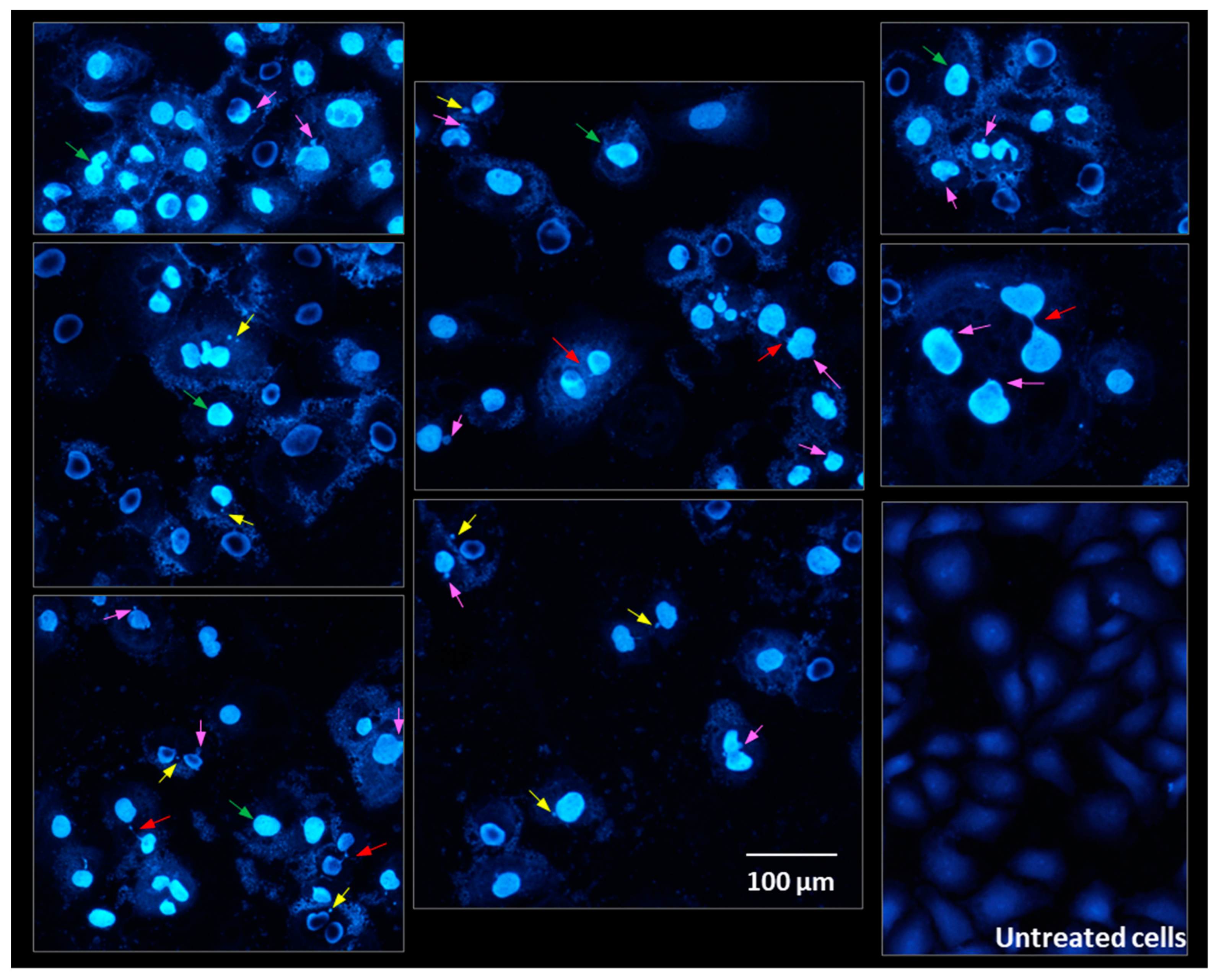 Molecules 28 05064 g014 Molecules 28 05064 g014