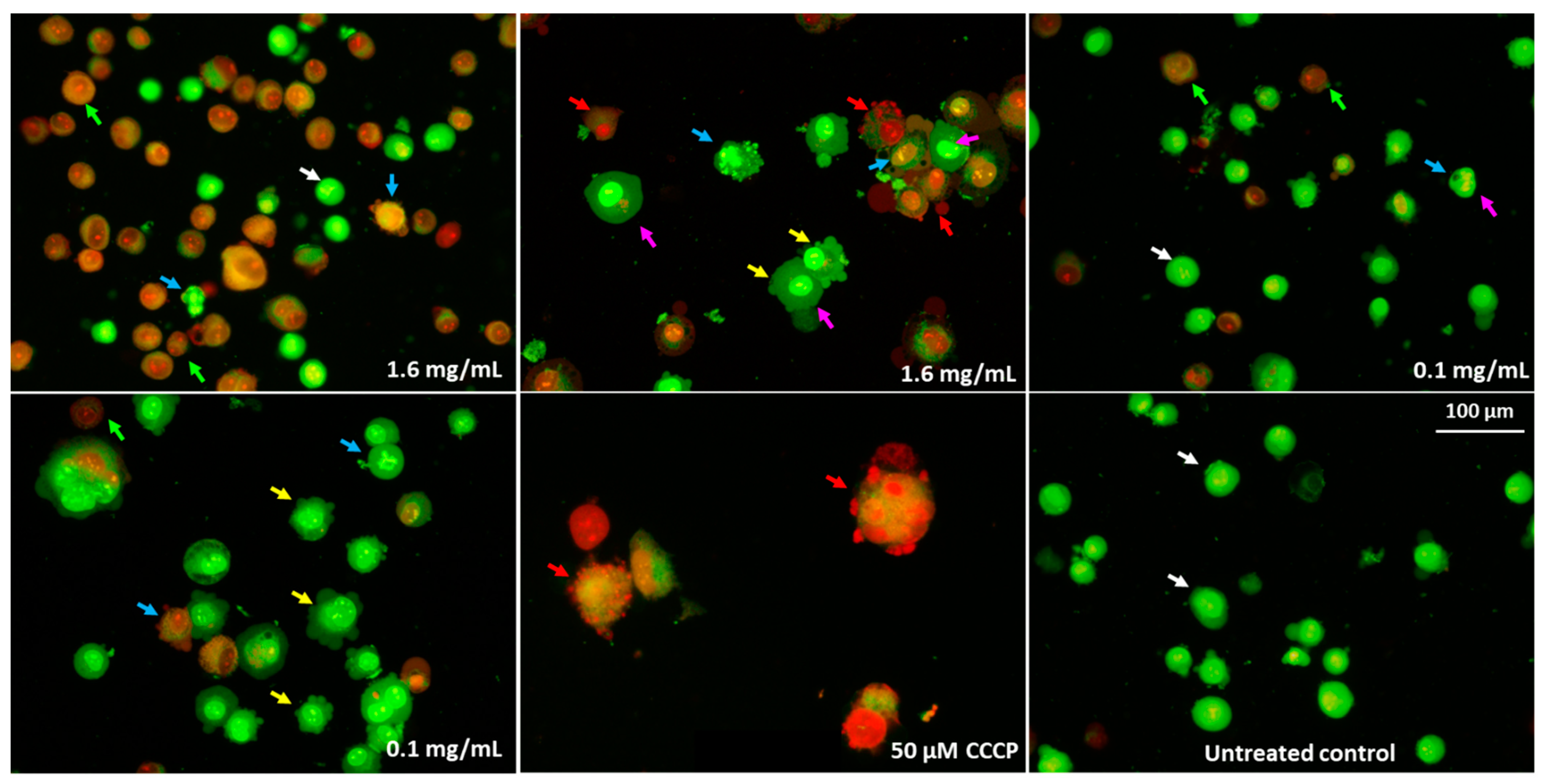 Molecules 28 05064 g015 Molecules 28 05064 g015