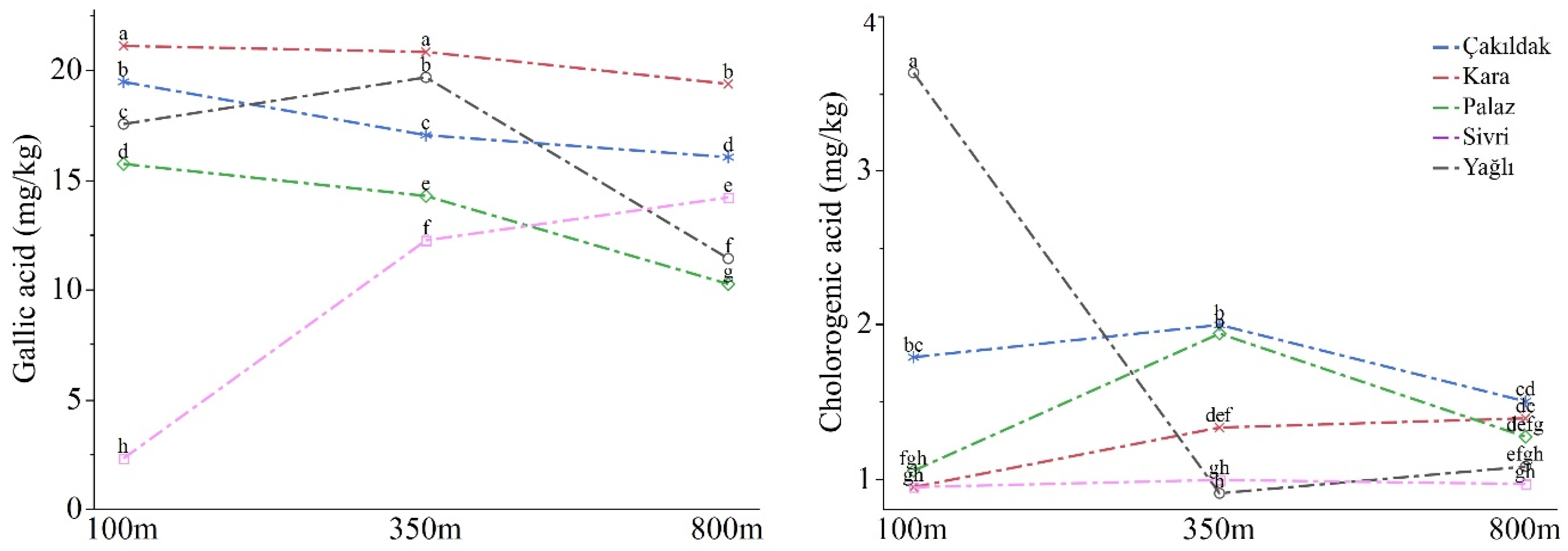 Molecules 28 05067 g001