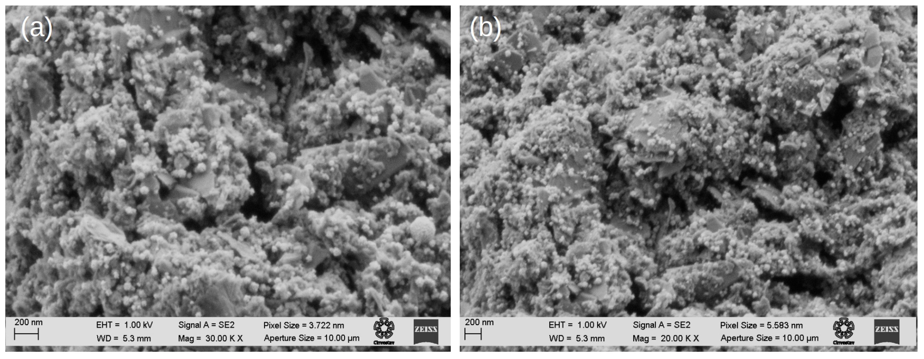 Molecules 28 05072 g006 Molecules 28 05072 g006