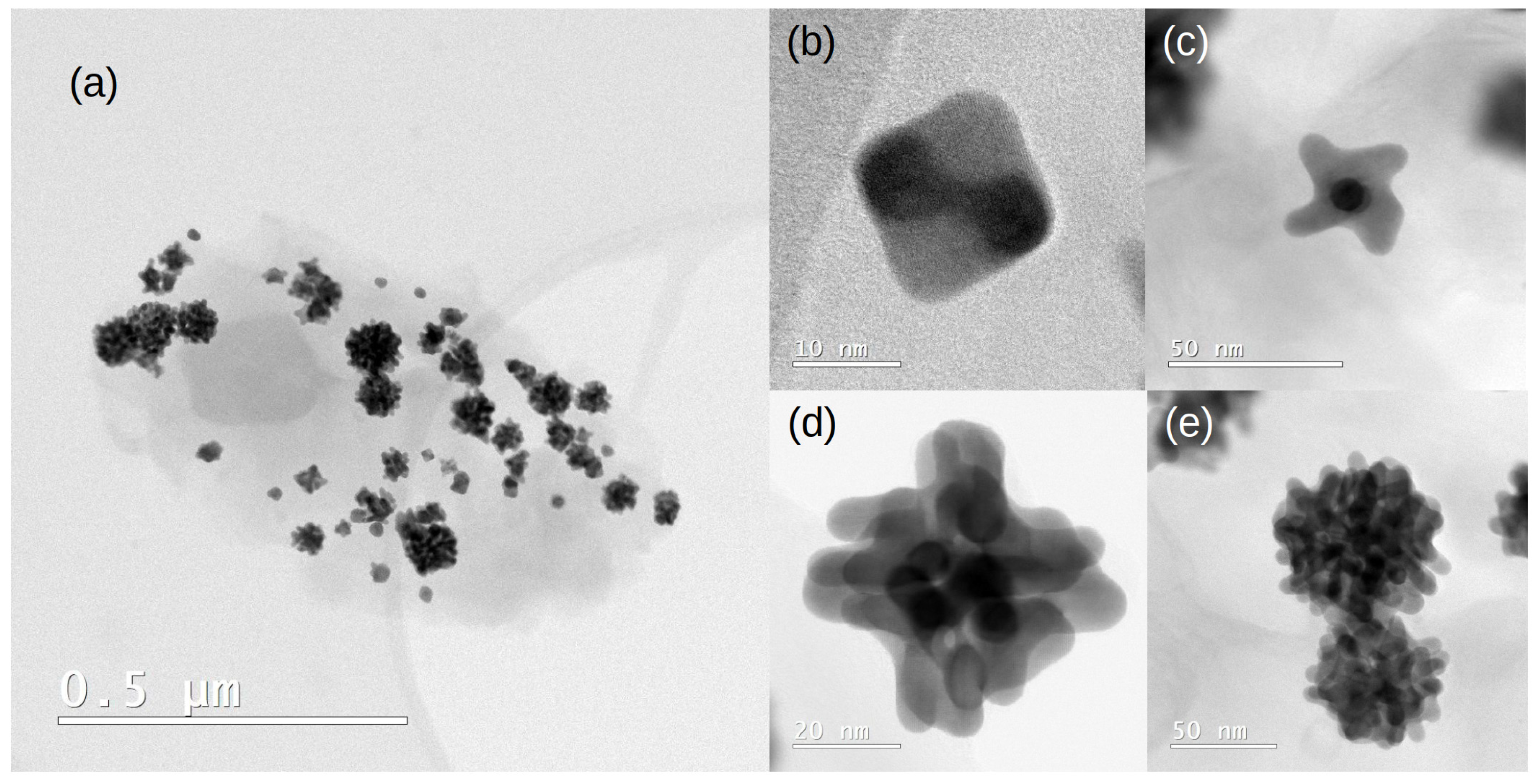 Molecules 28 05072 g007 Molecules 28 05072 g007