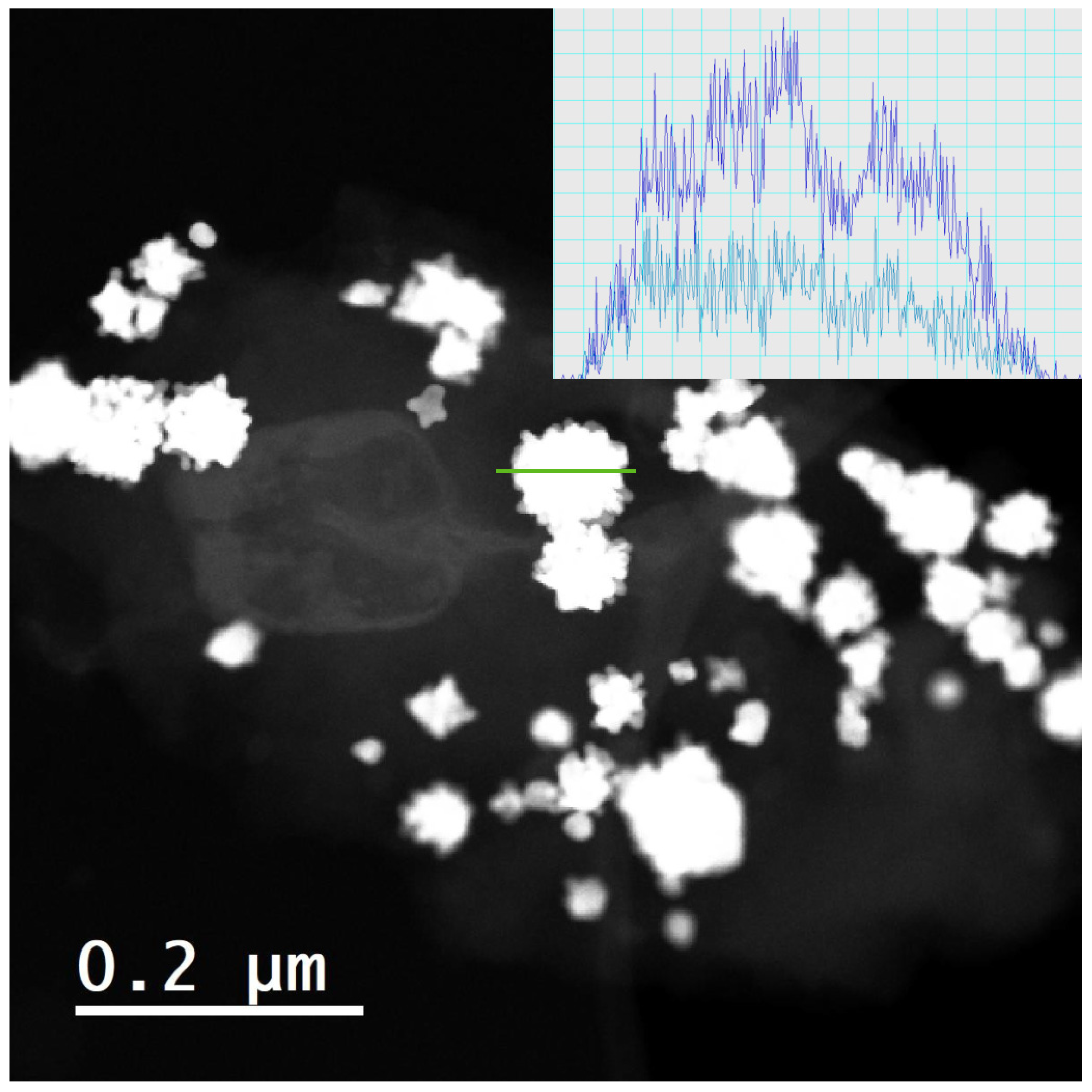 Molecules 28 05072 g008 Molecules 28 05072 g008