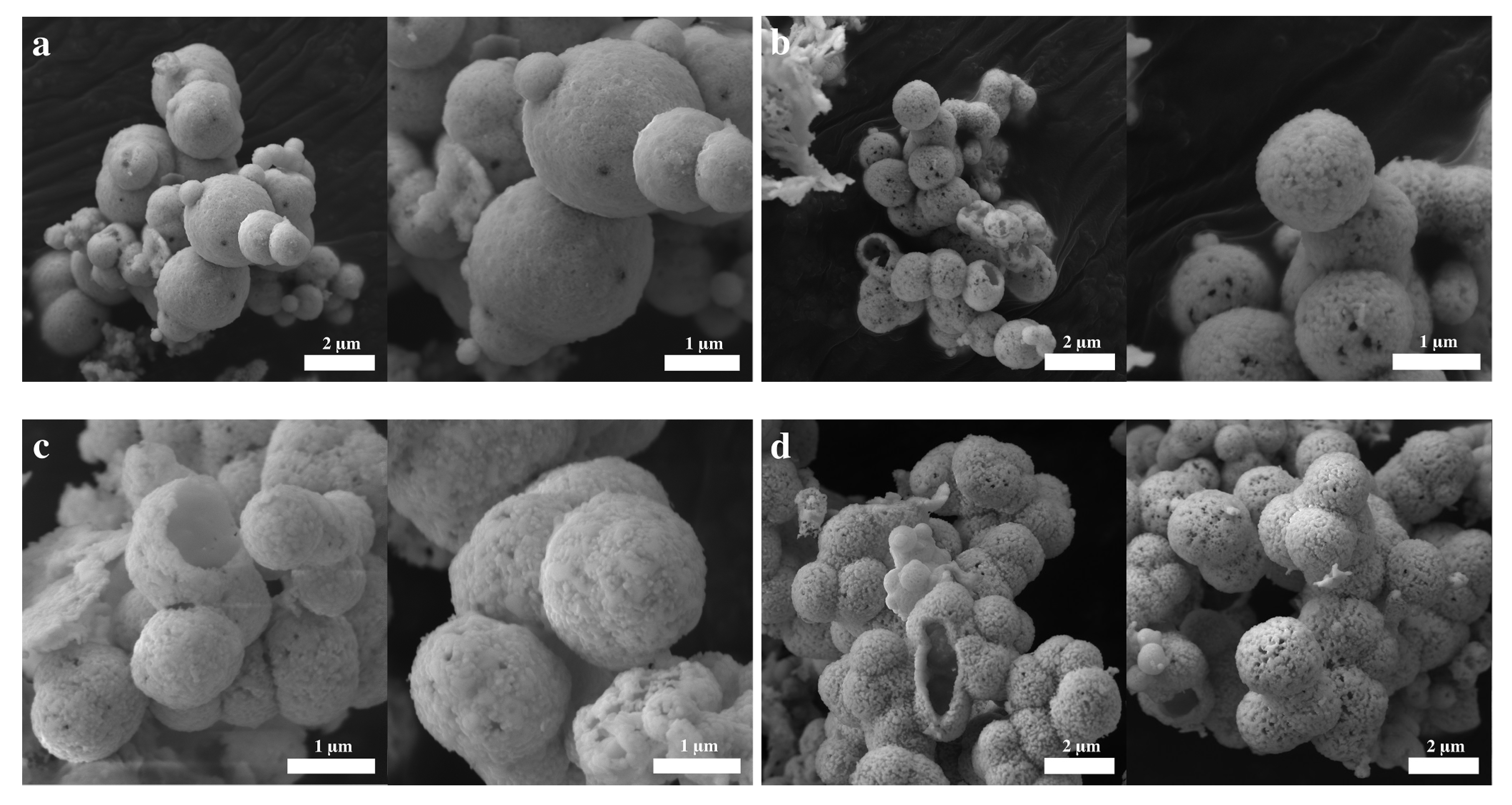 Molecules 28 05079 g004 Molecules 28 05079 g004