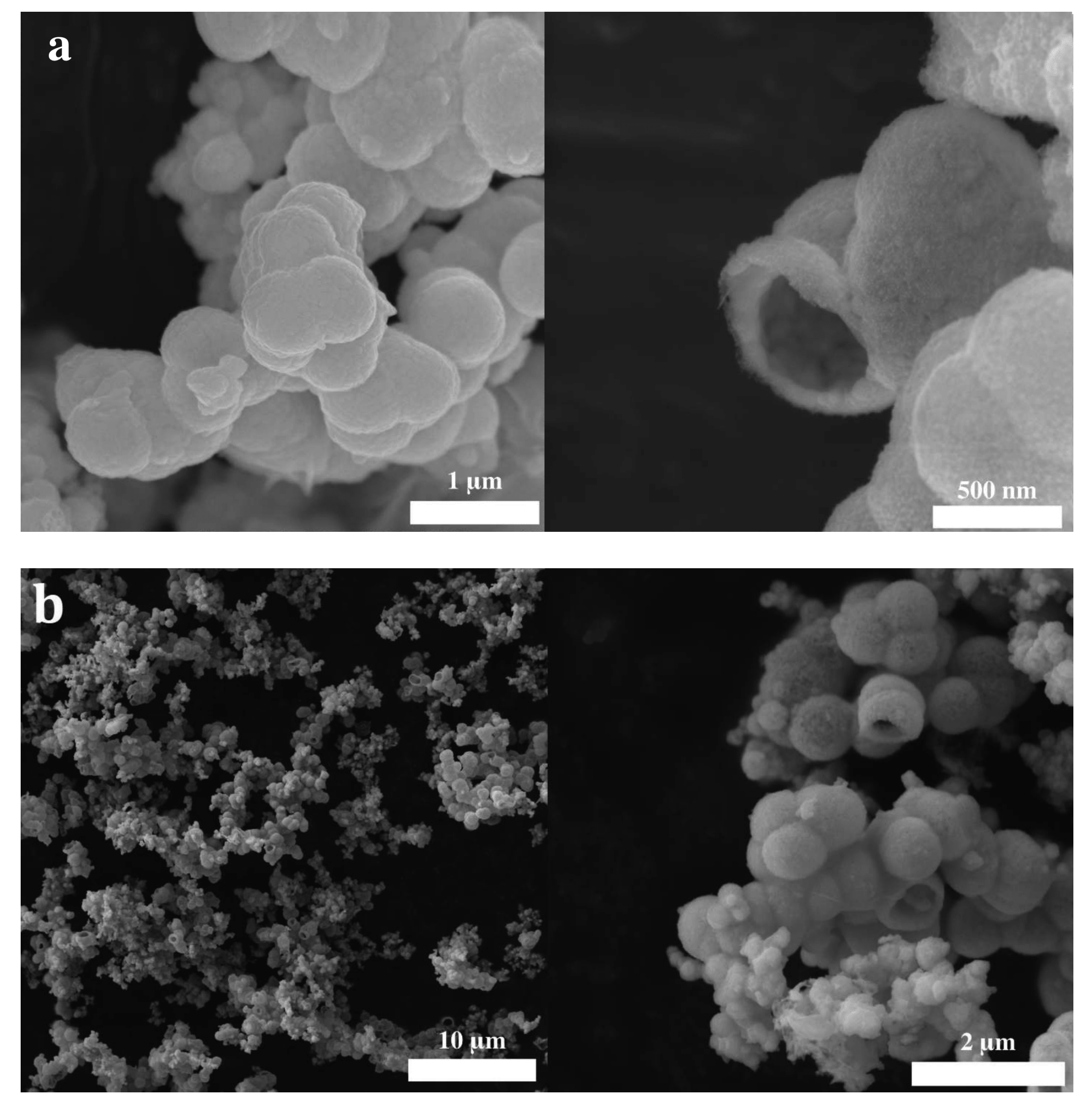 Molecules 28 05079 g007 Molecules 28 05079 g007