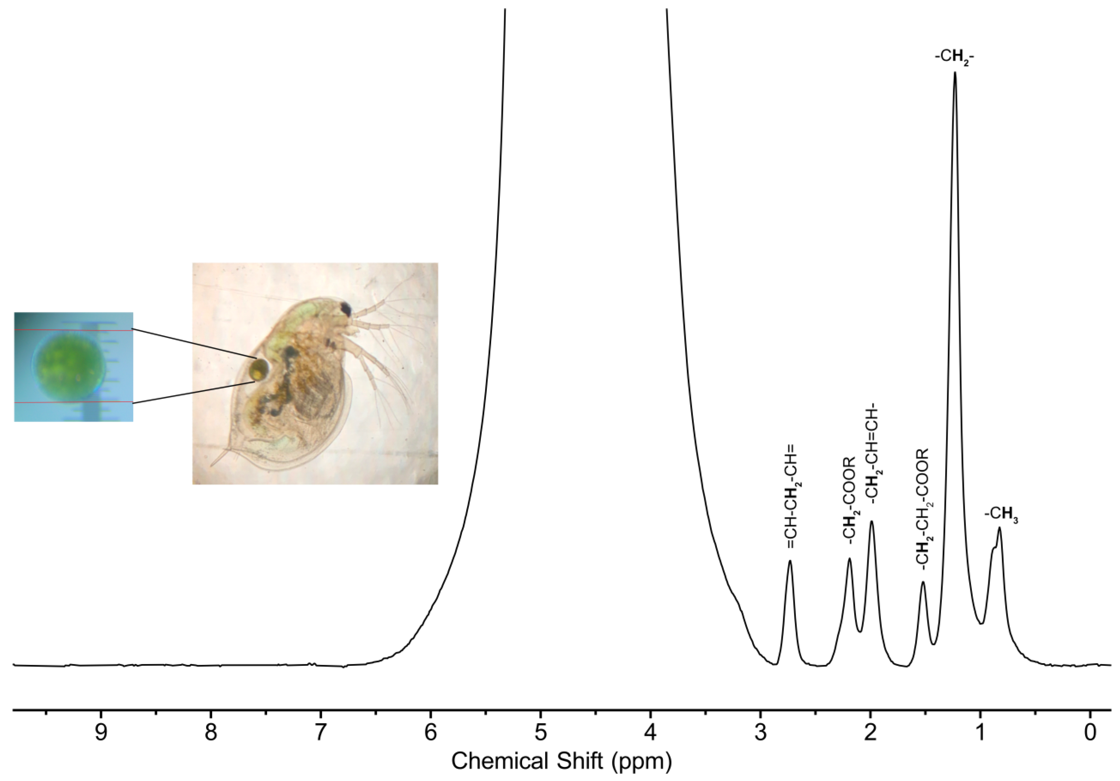 Molecules 28 05080 g003 Molecules 28 05080 g003