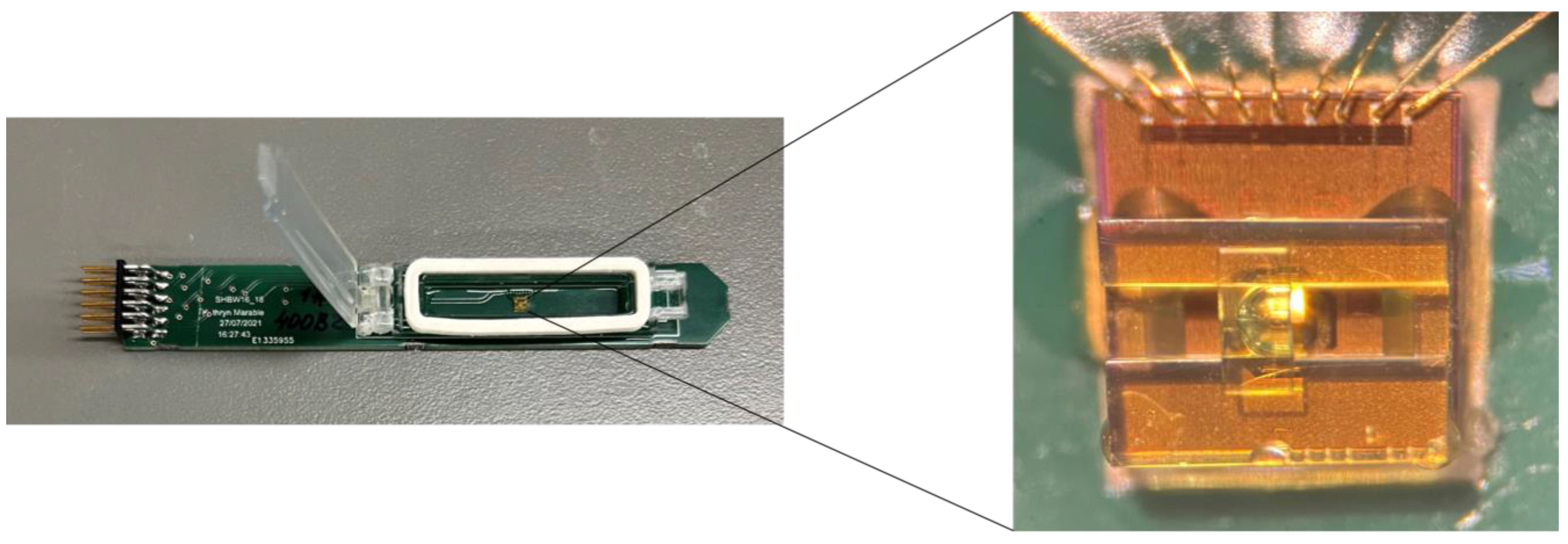 Molecules 28 05080 g006 Molecules 28 05080 g006