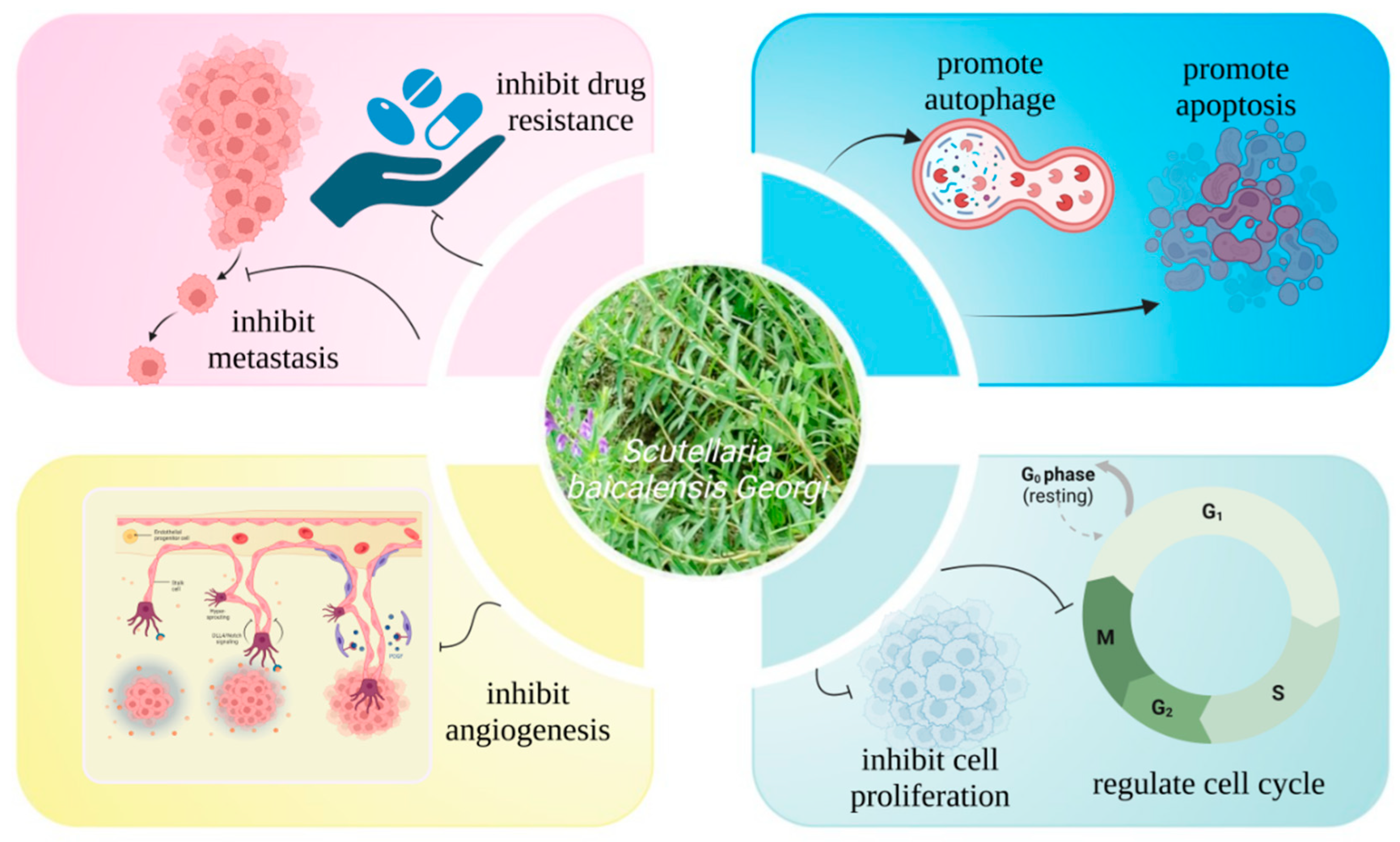 Molecules 28 05082 g001 Molecules 28 05082 g001