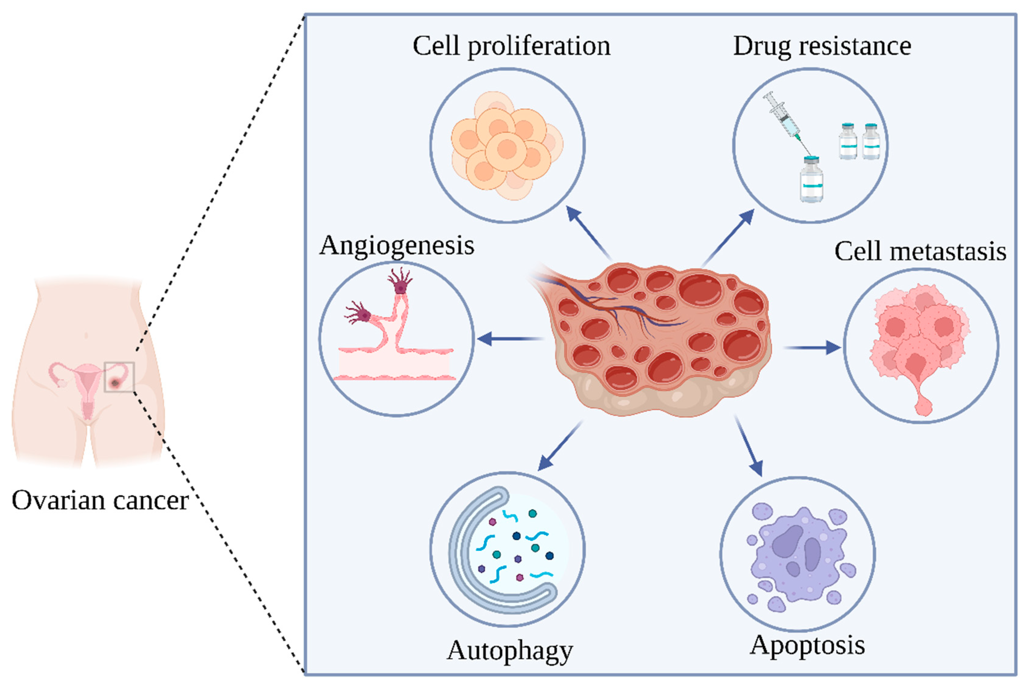 Molecules 28 05082 g002 Molecules 28 05082 g002