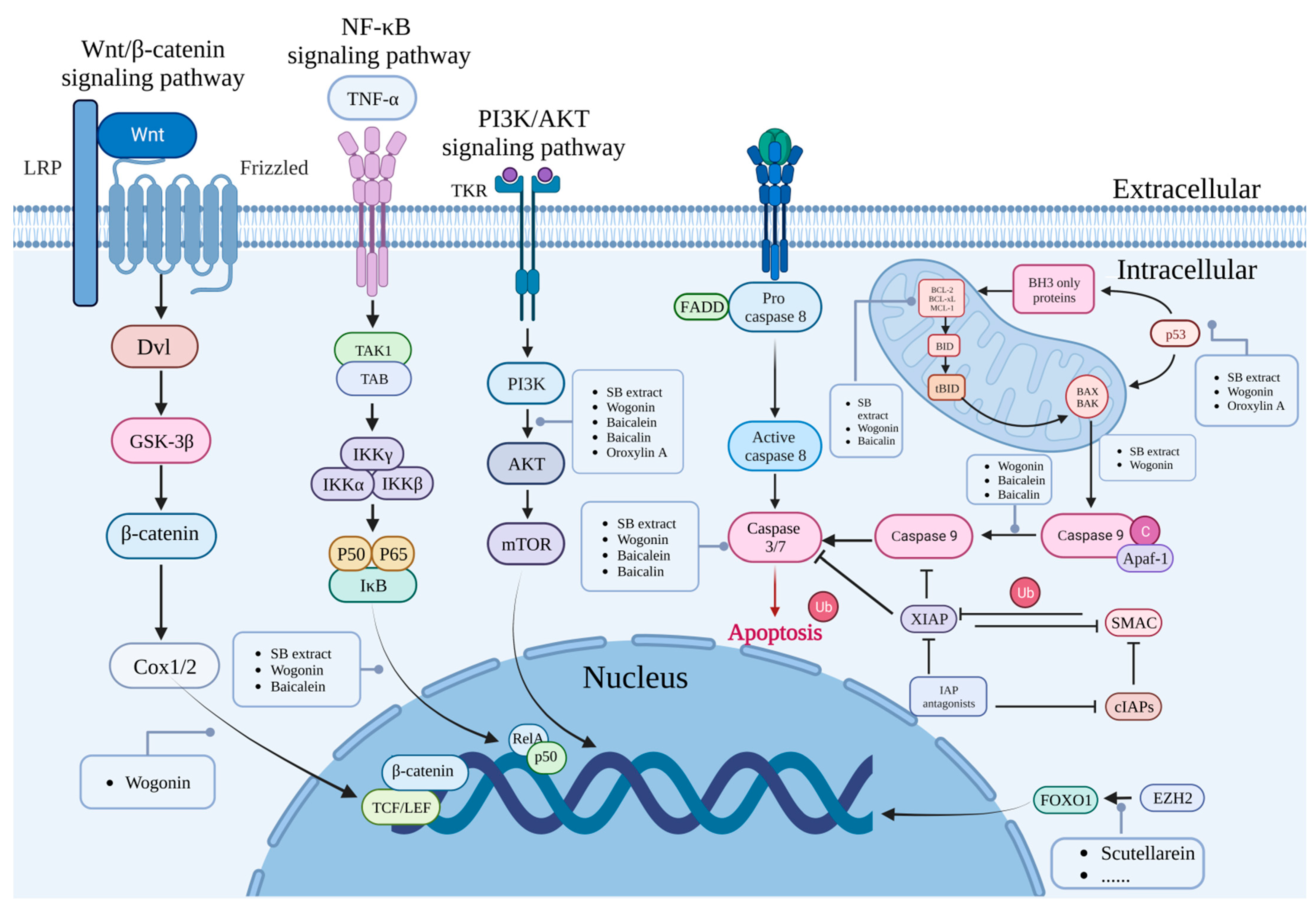Molecules 28 05082 g003 Molecules 28 05082 g003