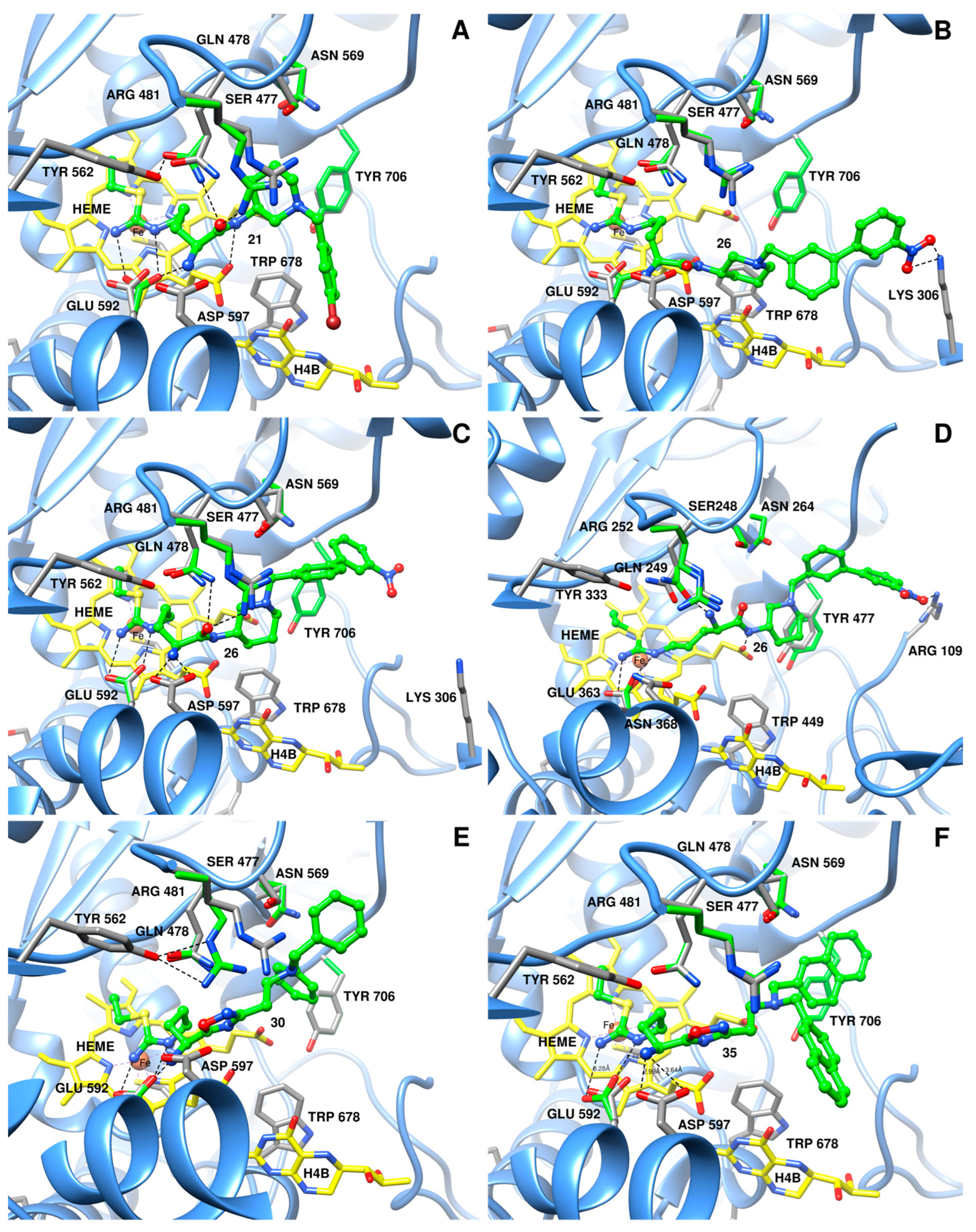Molecules 28 05085 g004 Molecules 28 05085 g004