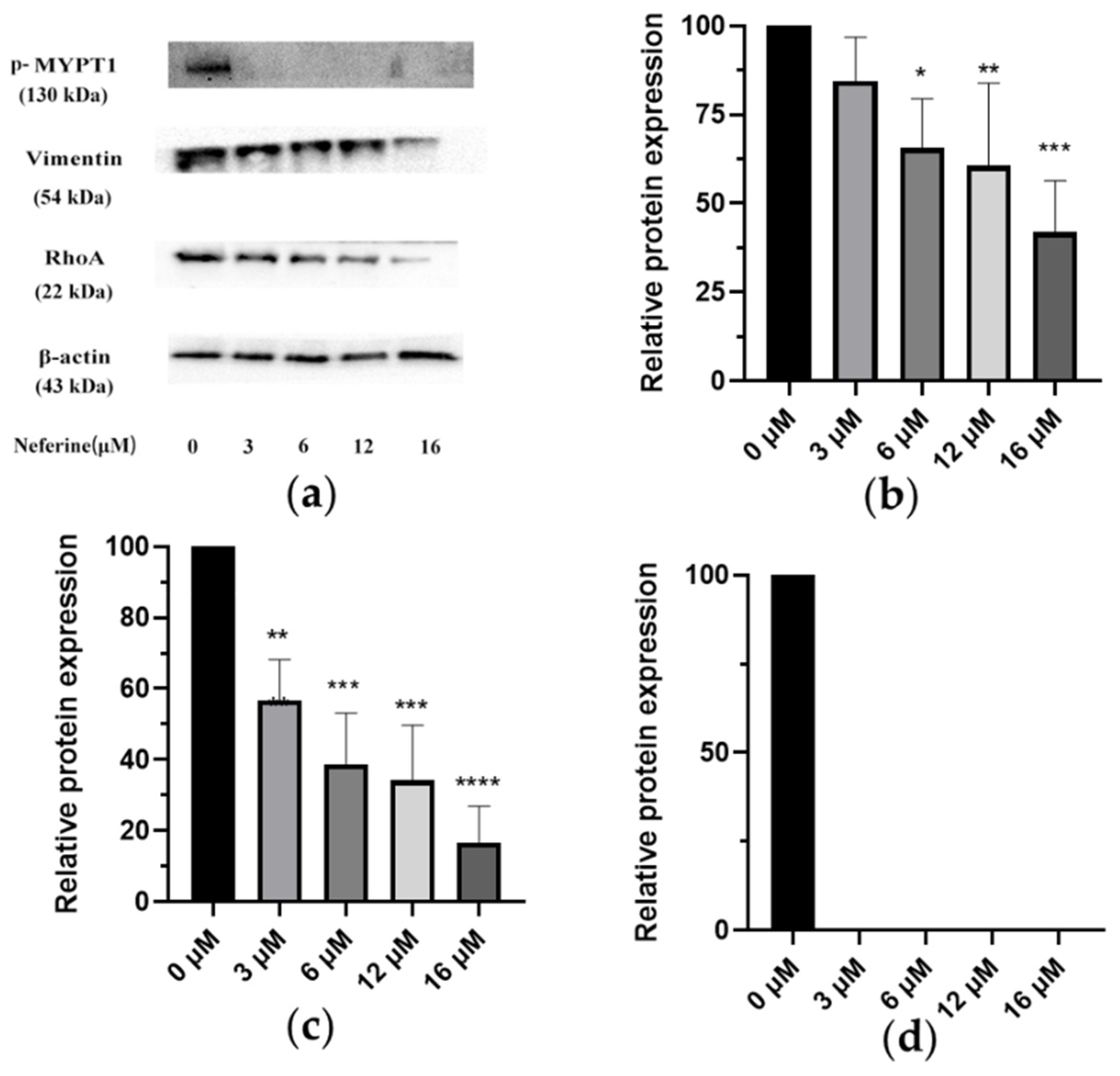 Molecules 28 05086 g005 Molecules 28 05086 g005