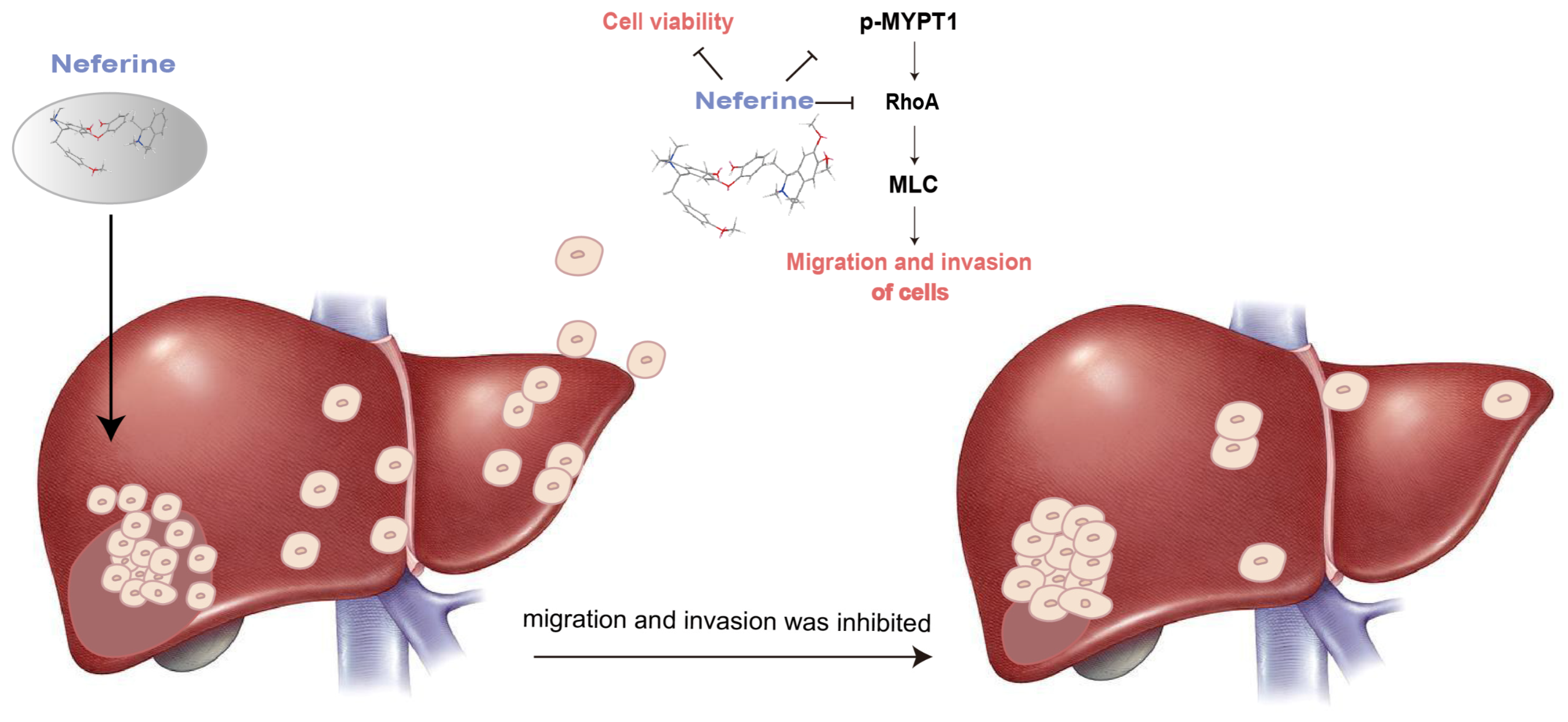 Molecules 28 05086 g006 Molecules 28 05086 g006