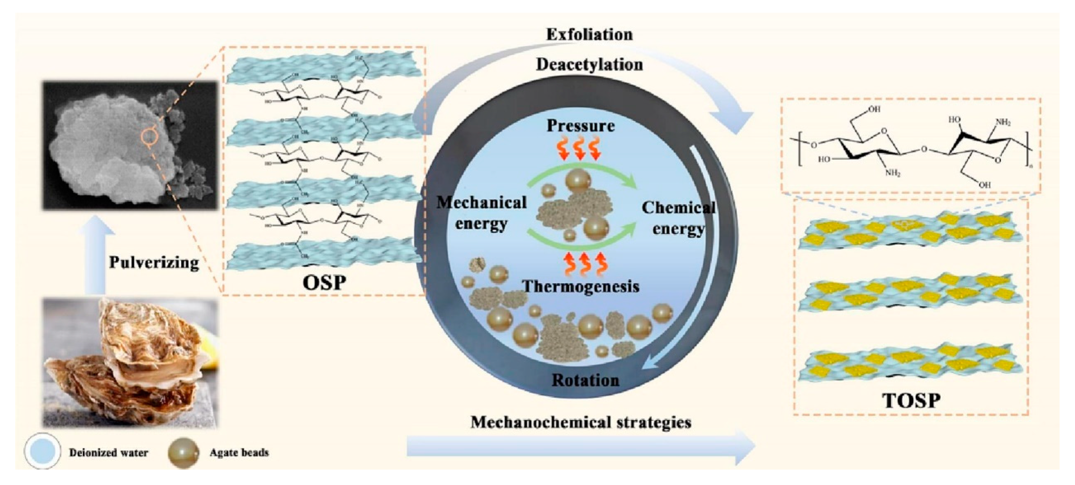 Molecules 28 05090 g006 Molecules 28 05090 g006