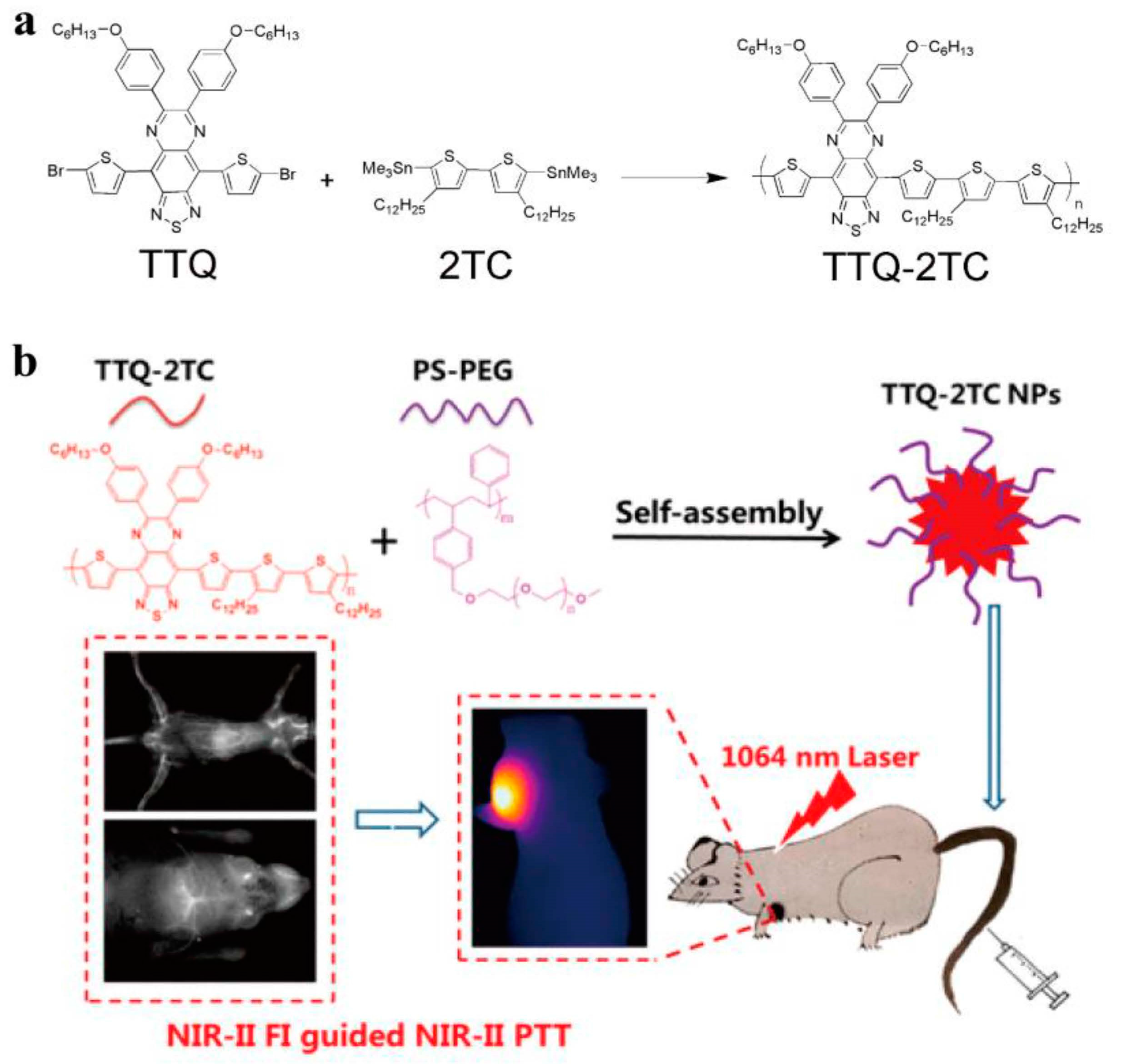 Molecules 28 05091 g002 Molecules 28 05091 g002