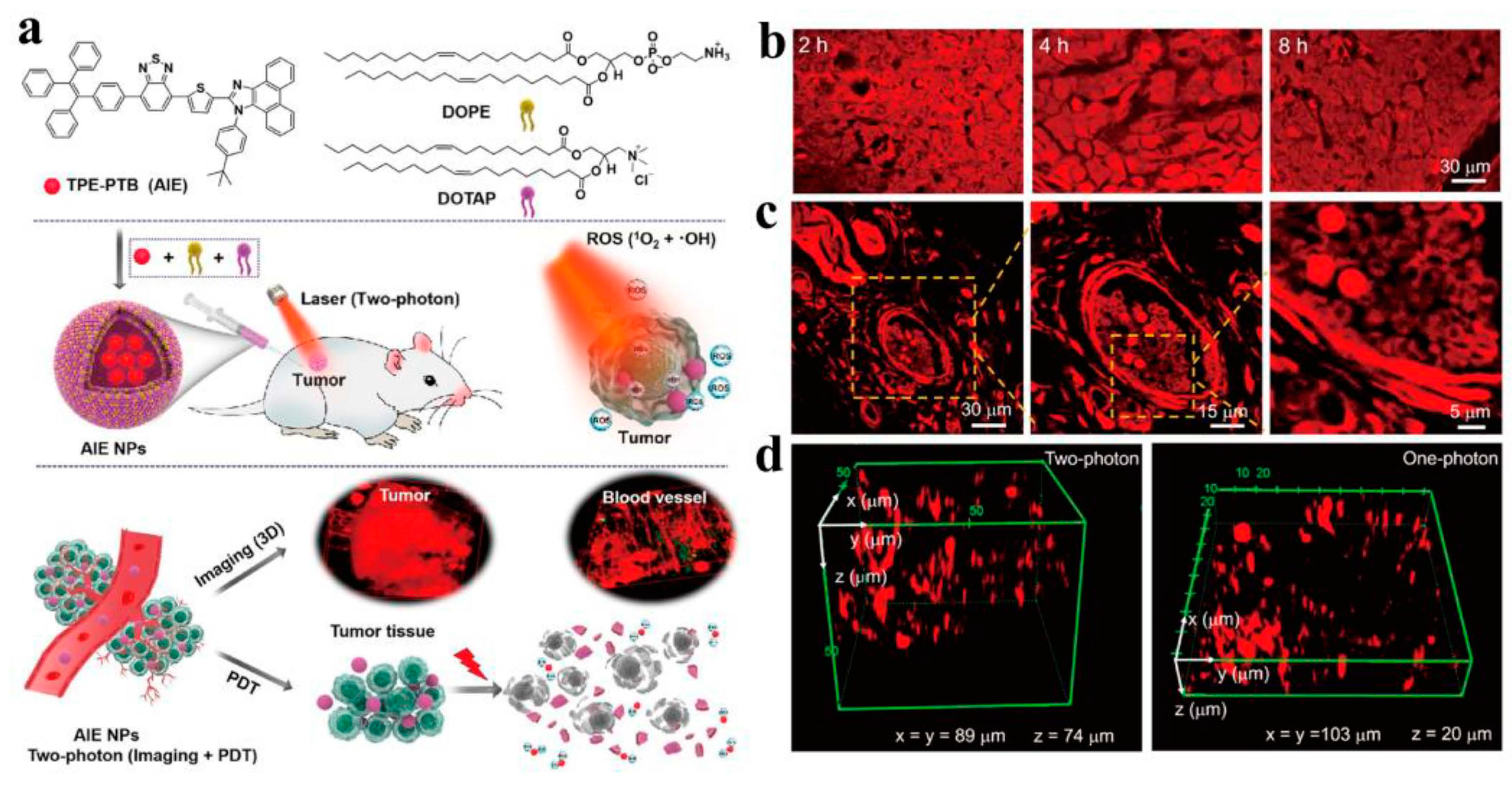 Molecules 28 05091 g003 Molecules 28 05091 g003