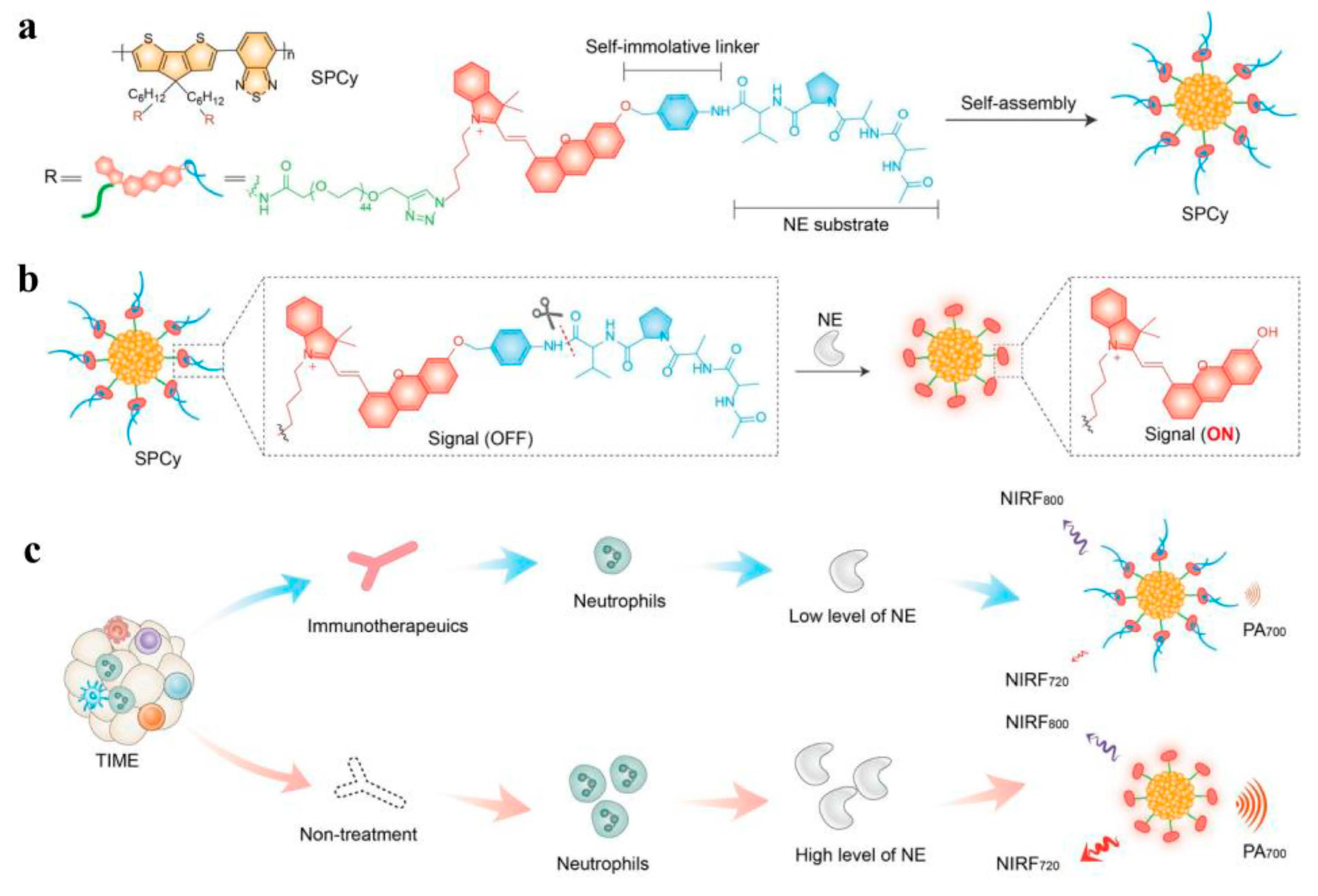 Molecules 28 05091 g006 Molecules 28 05091 g006