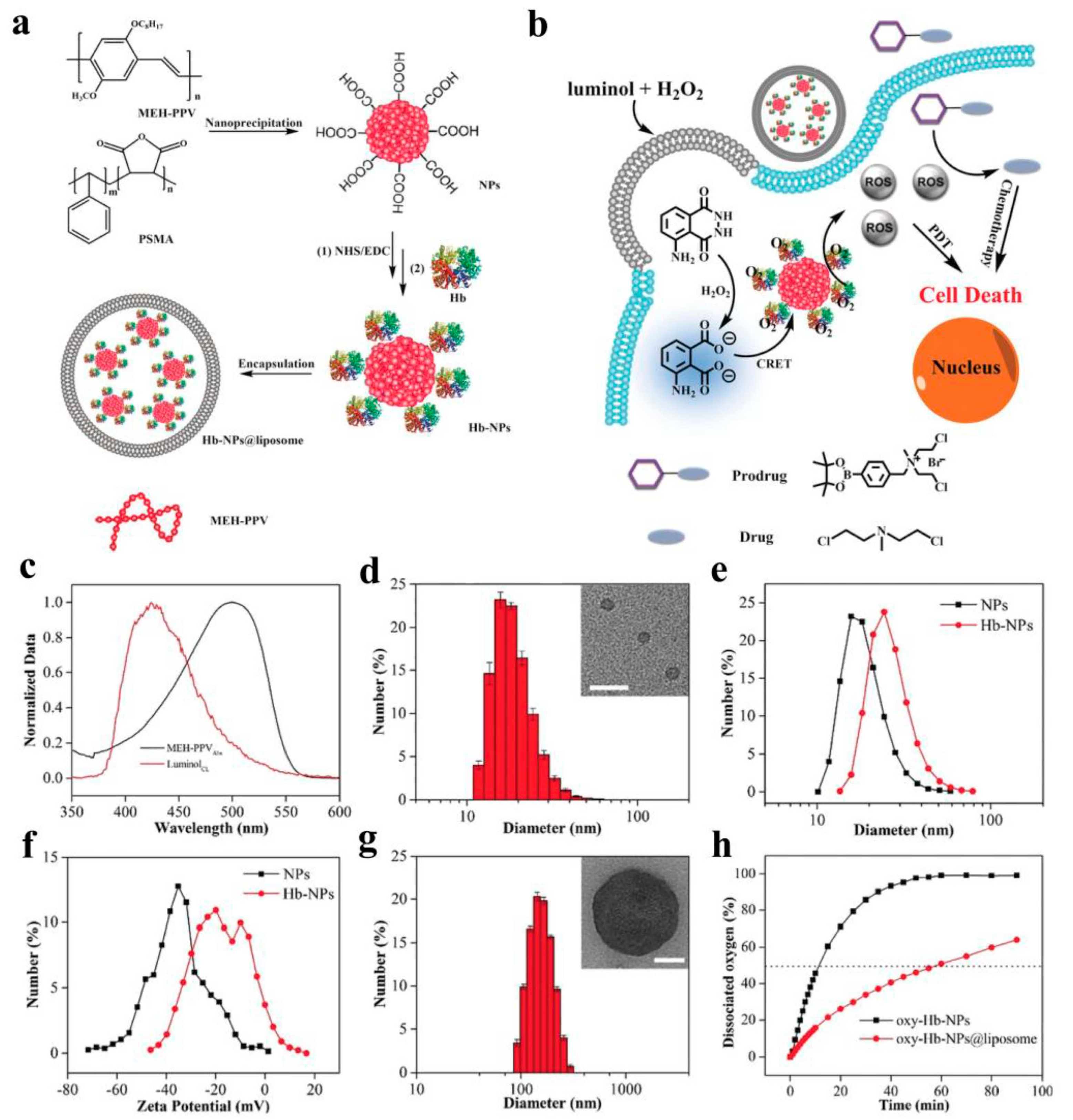 Molecules 28 05091 g009 Molecules 28 05091 g009