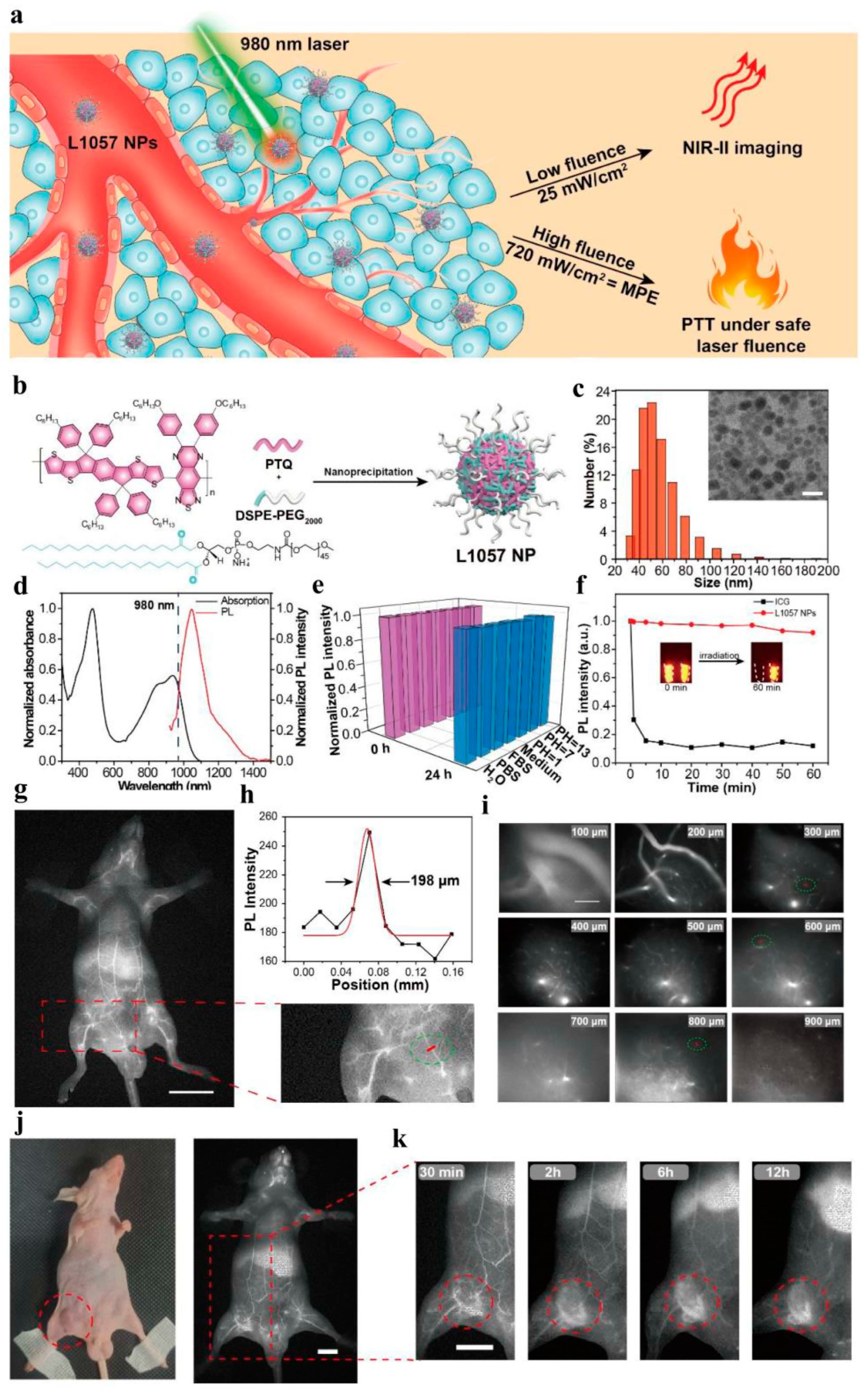 Molecules 28 05091 g010 Molecules 28 05091 g010