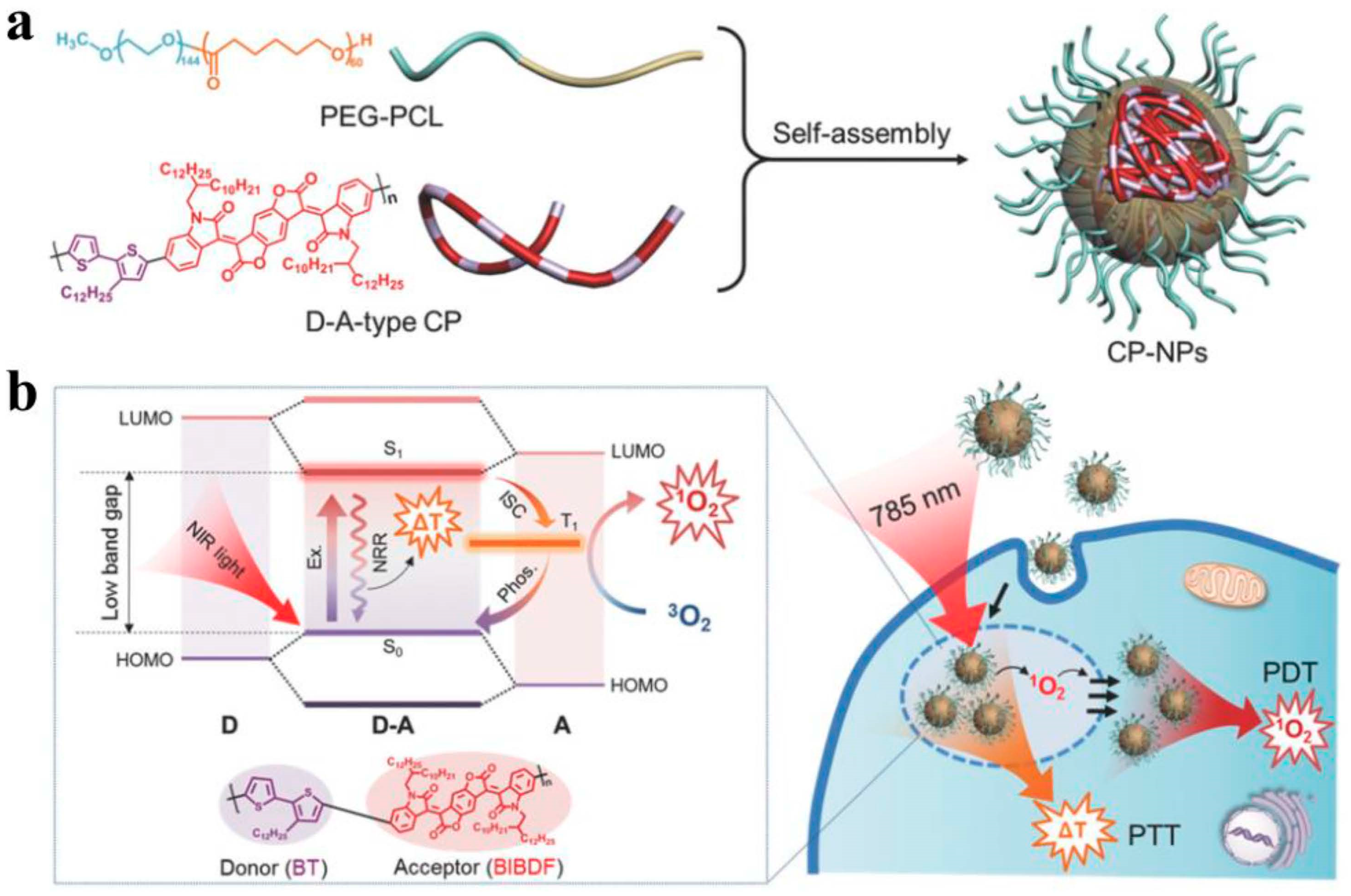 Molecules 28 05091 g011 Molecules 28 05091 g011