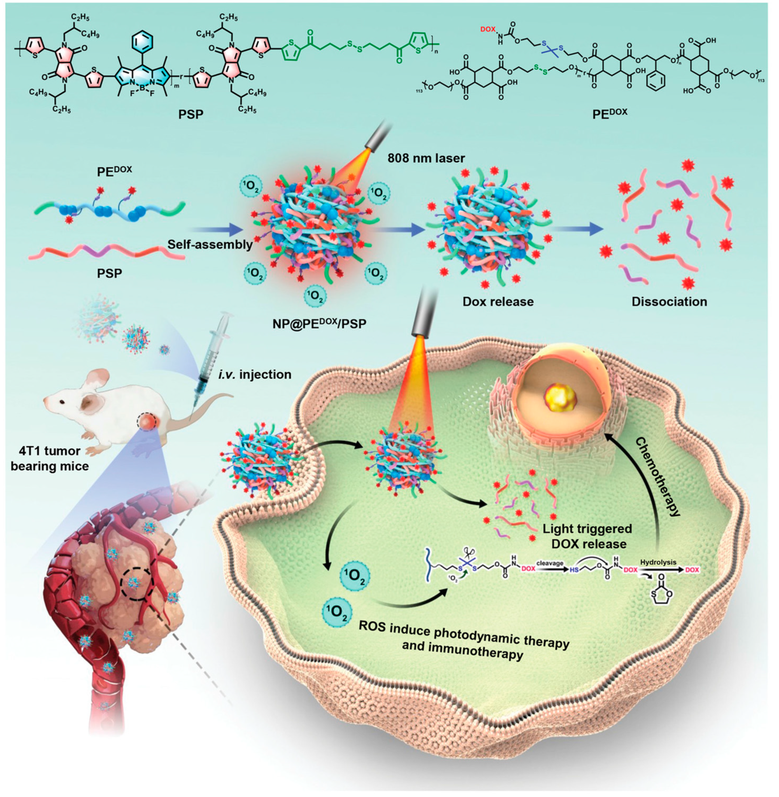 Molecules 28 05091 g012 Molecules 28 05091 g012