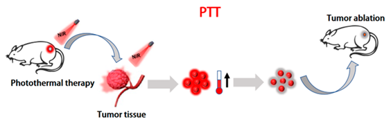 Molecules 28 05091 i001 Molecules 28 05091 i001