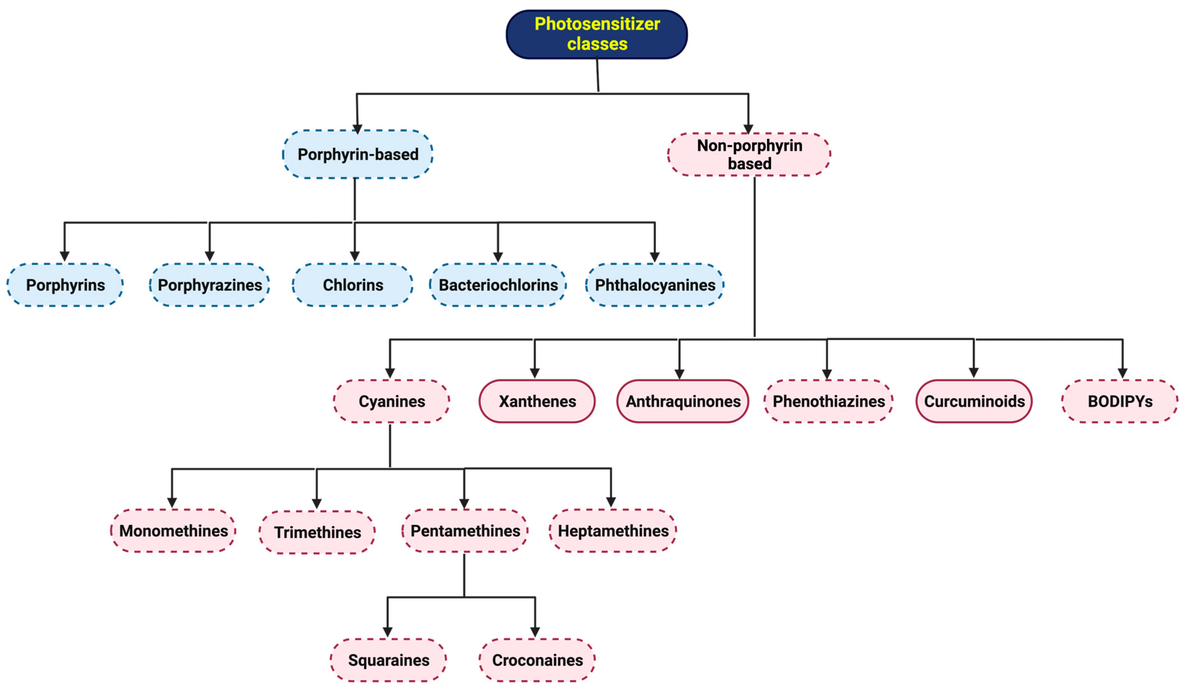 Molecules 28 05092 g001