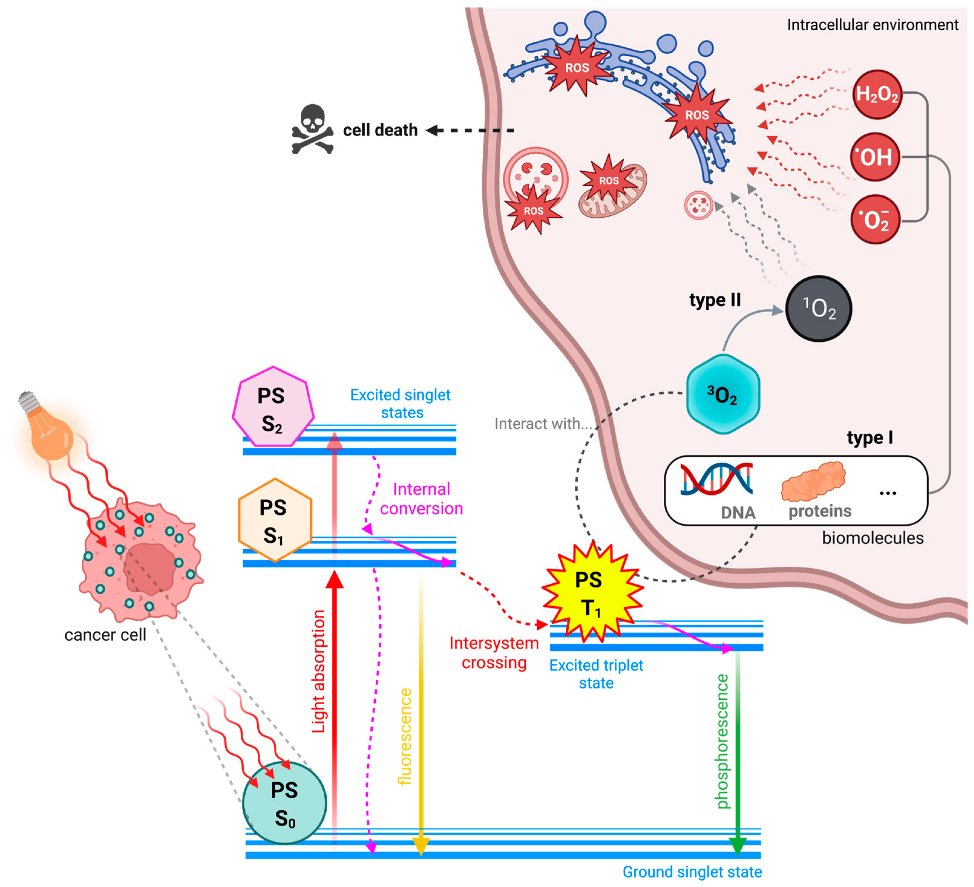 Molecules 28 05092 g003