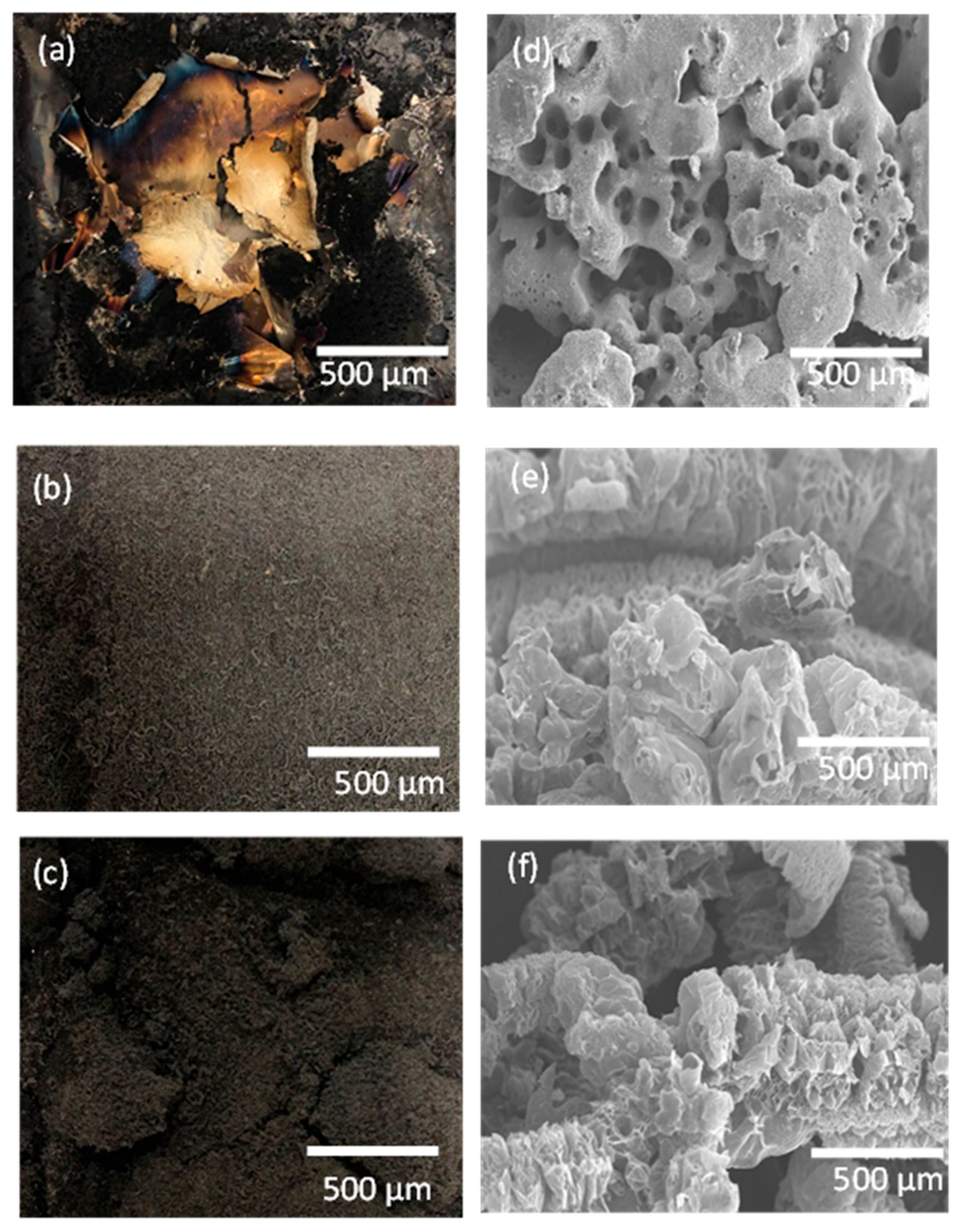 Molecules 28 05100 g009 Molecules 28 05100 g009