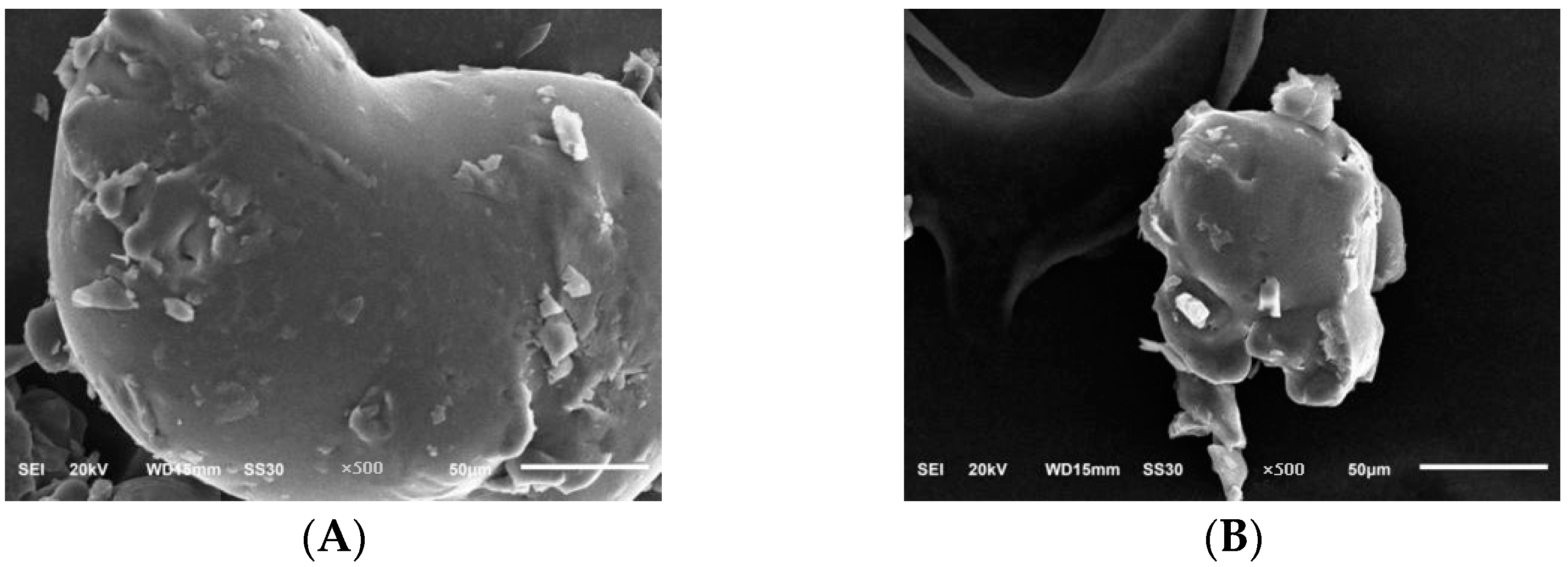 Molecules 28 05102 g008 Molecules 28 05102 g008