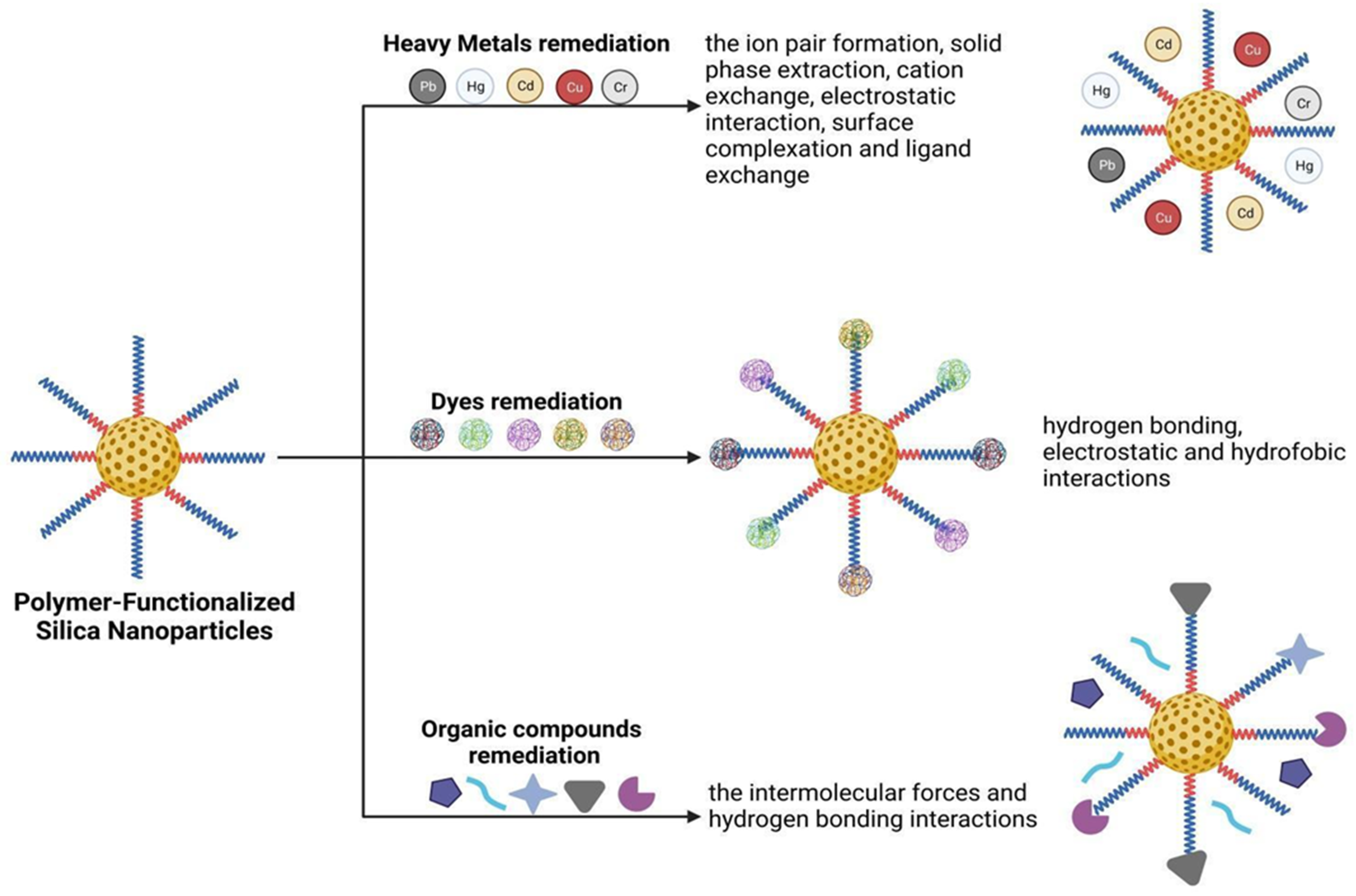 Molecules 28 05105 g001 Molecules 28 05105 g001