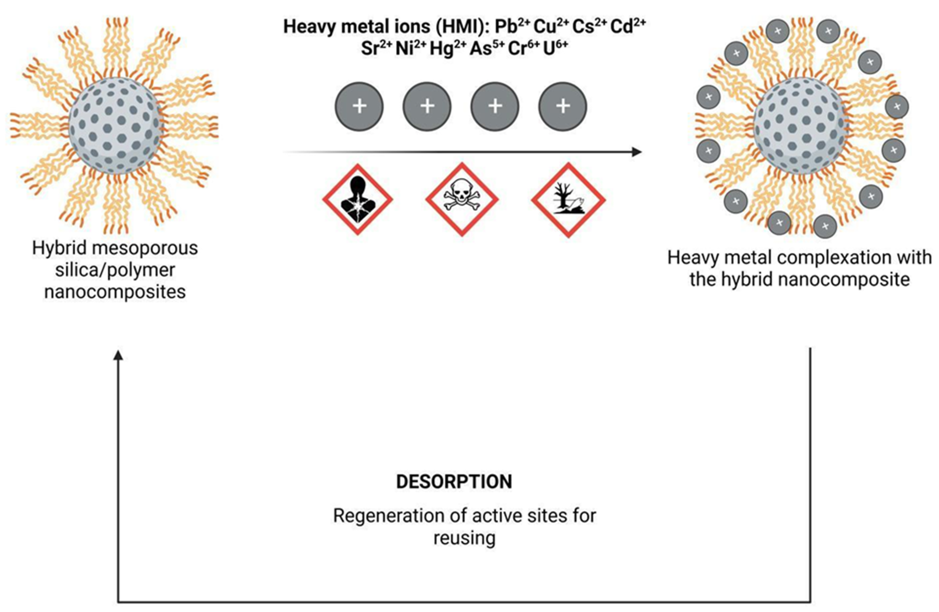 Molecules 28 05105 g002 Molecules 28 05105 g002