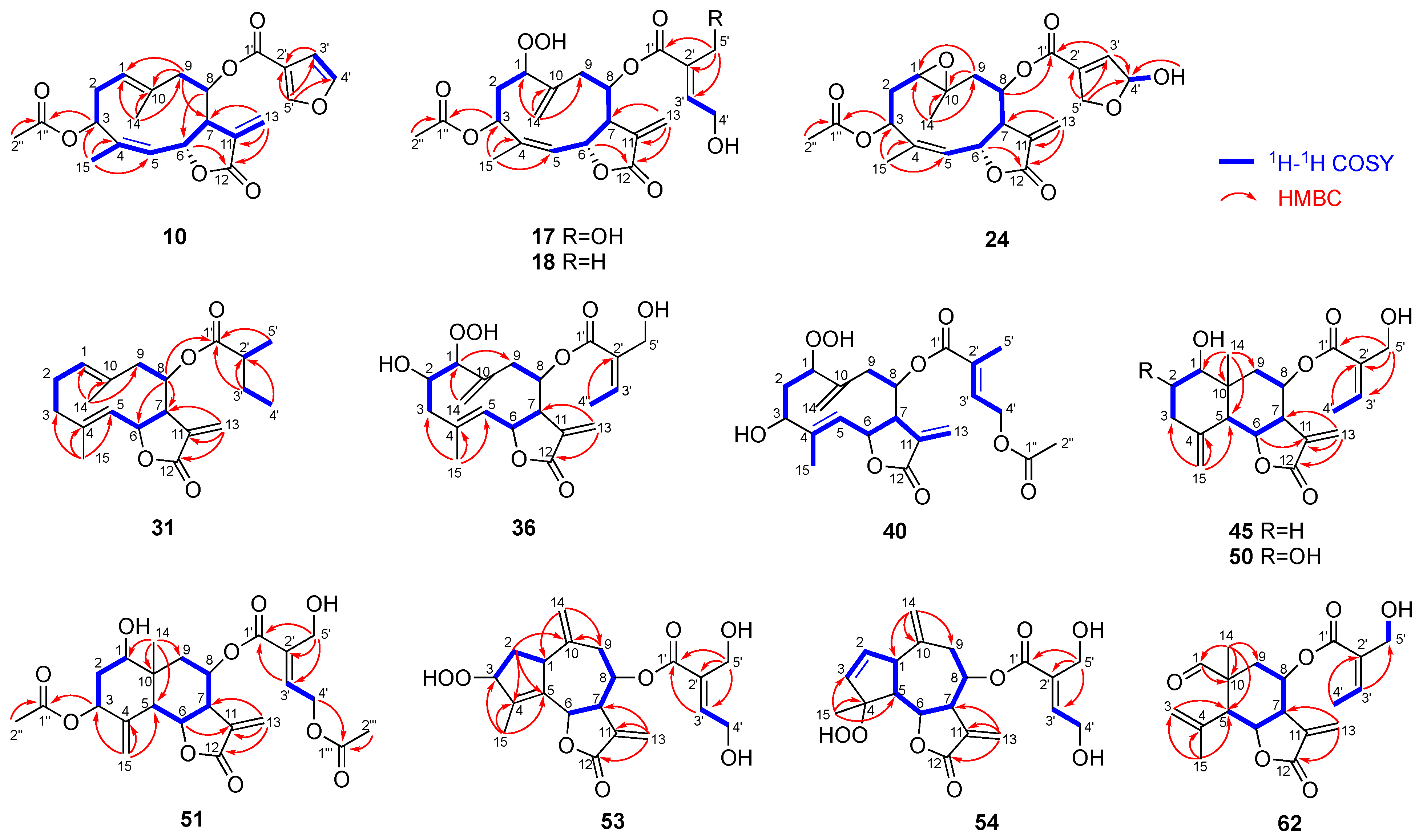 Molecules 28 05107 g004