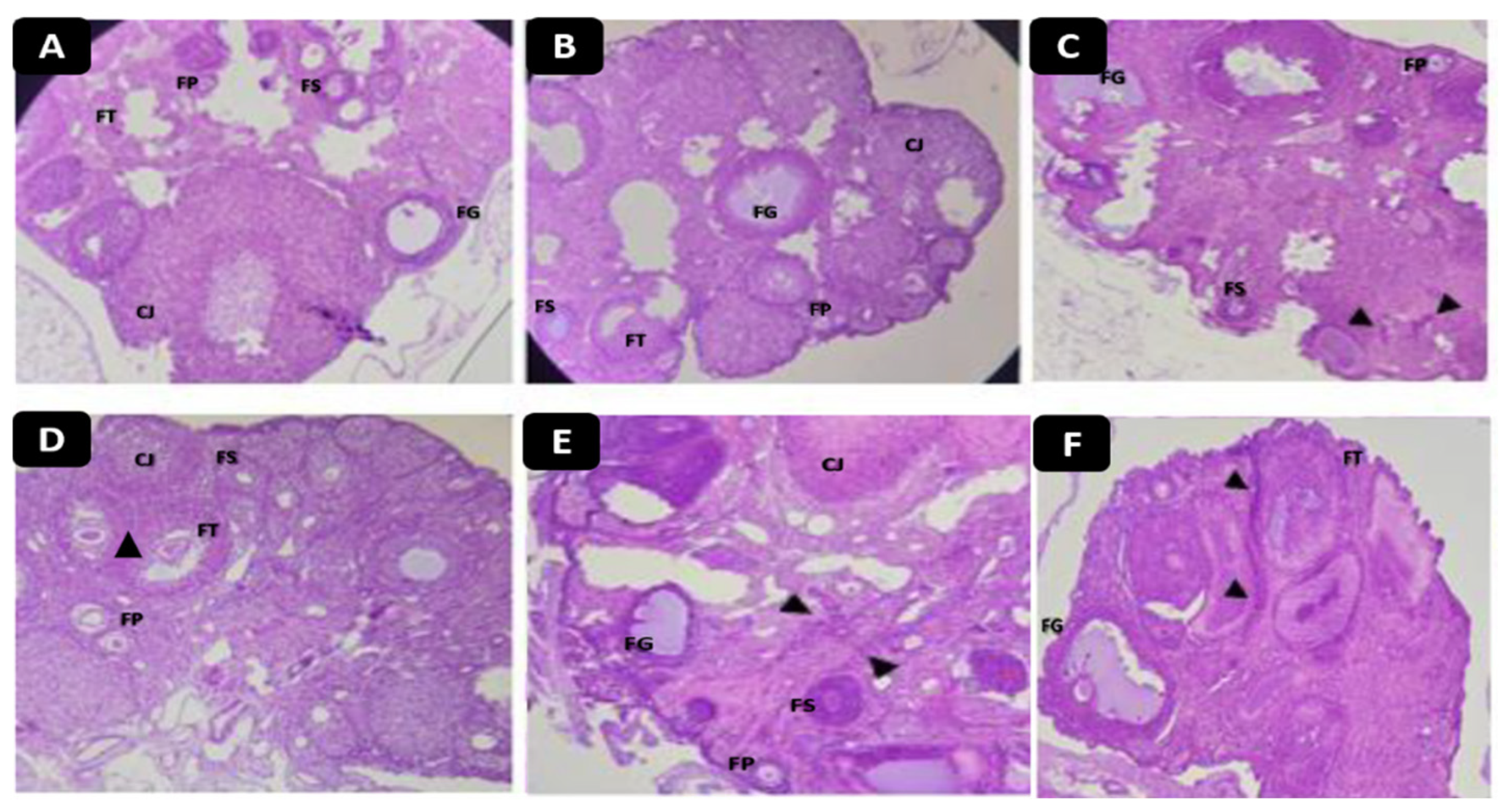 Molecules 28 05112 g008