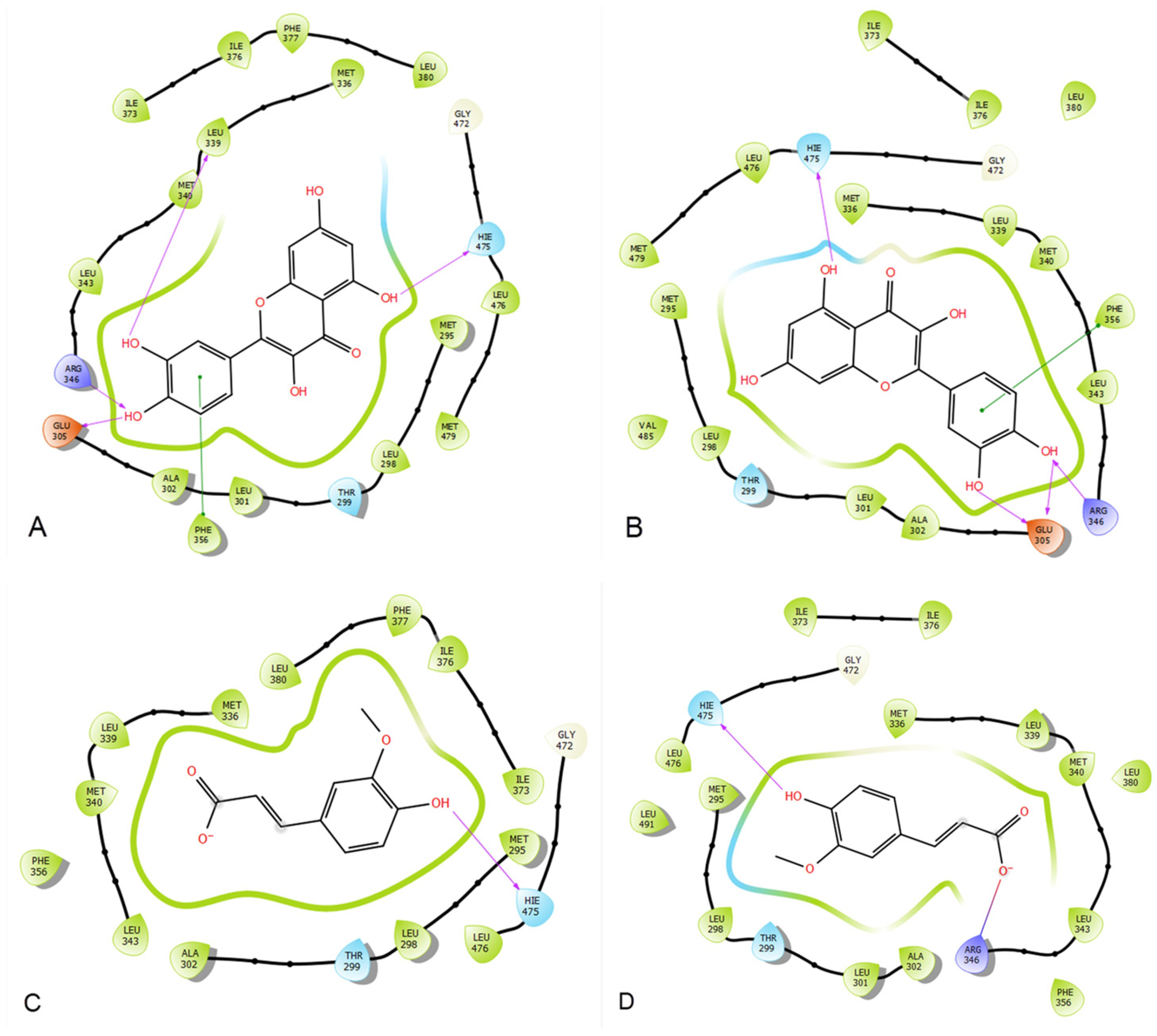 Molecules Free FullText Quercetin and Ferulic Acid Elicit