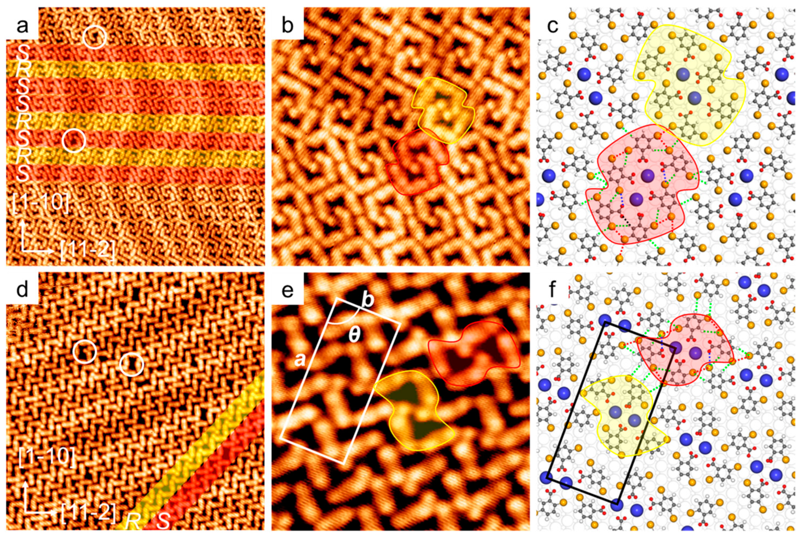 Molecules 28 05116 g003