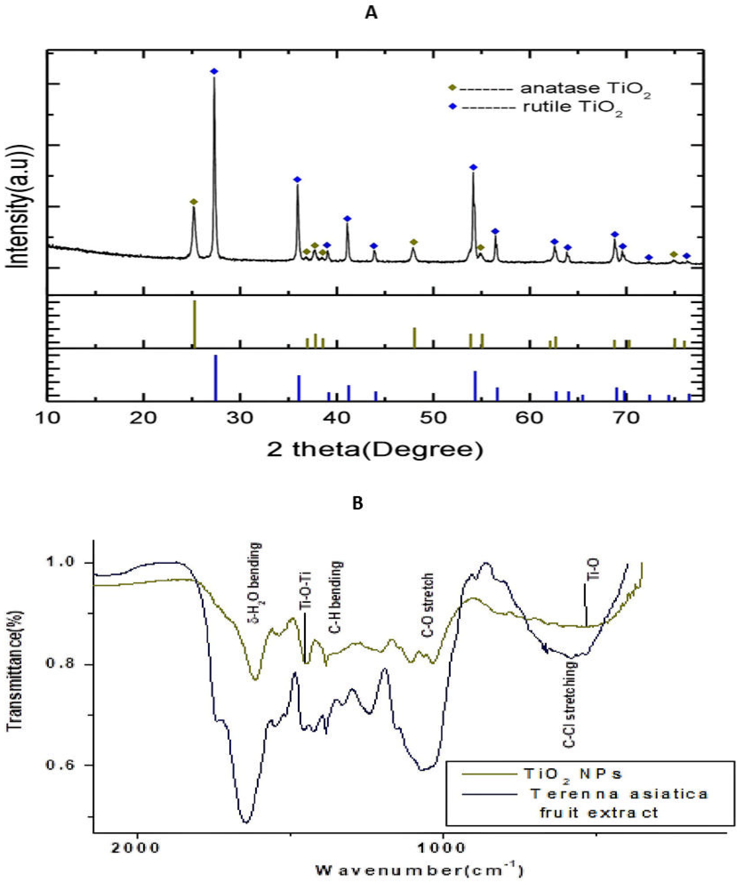 Molecules 28 05126 g001 Molecules 28 05126 g001